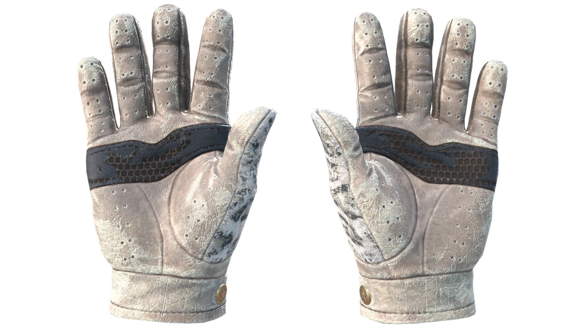 Snow Leopard image