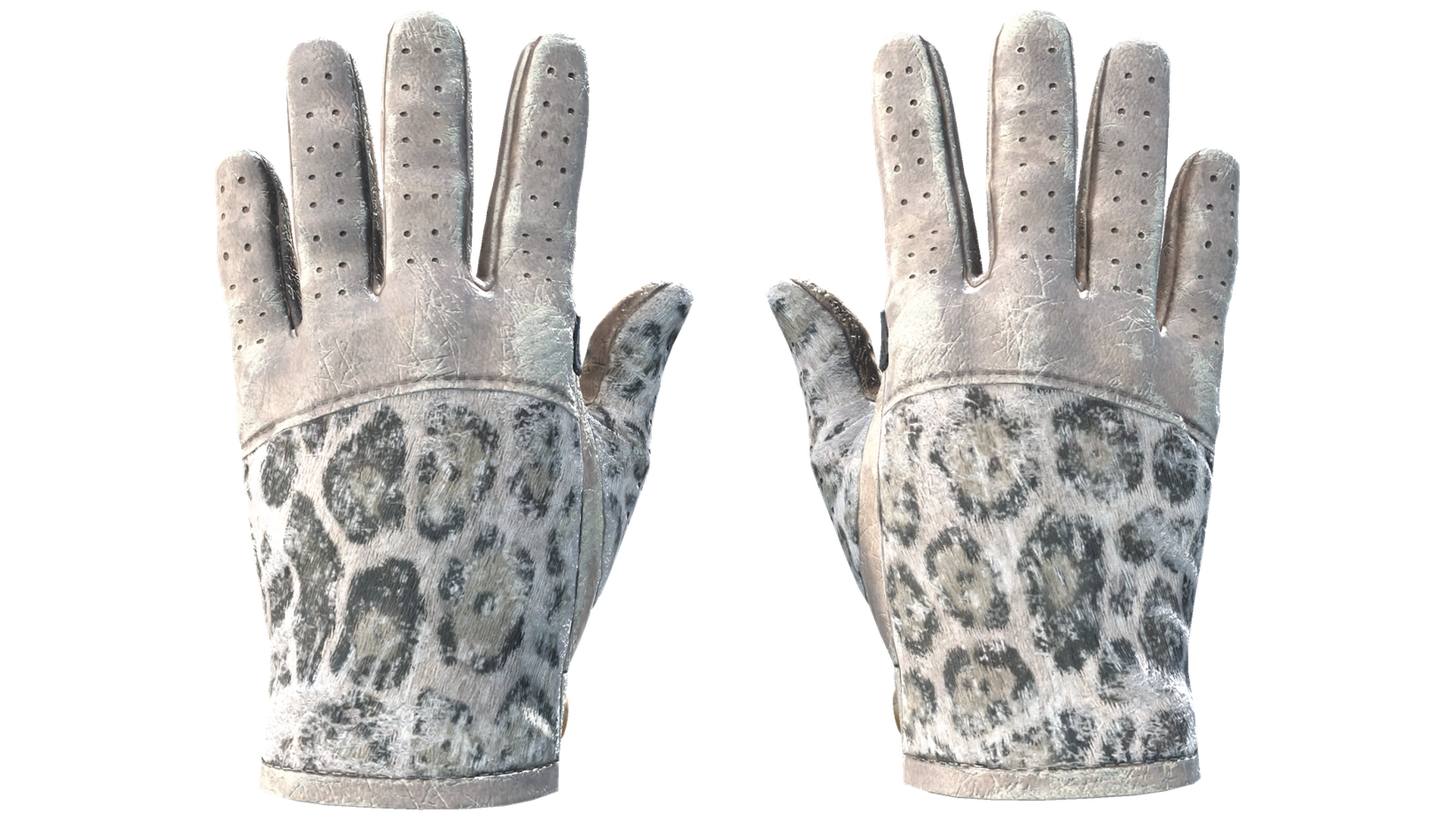 Snow Leopard image