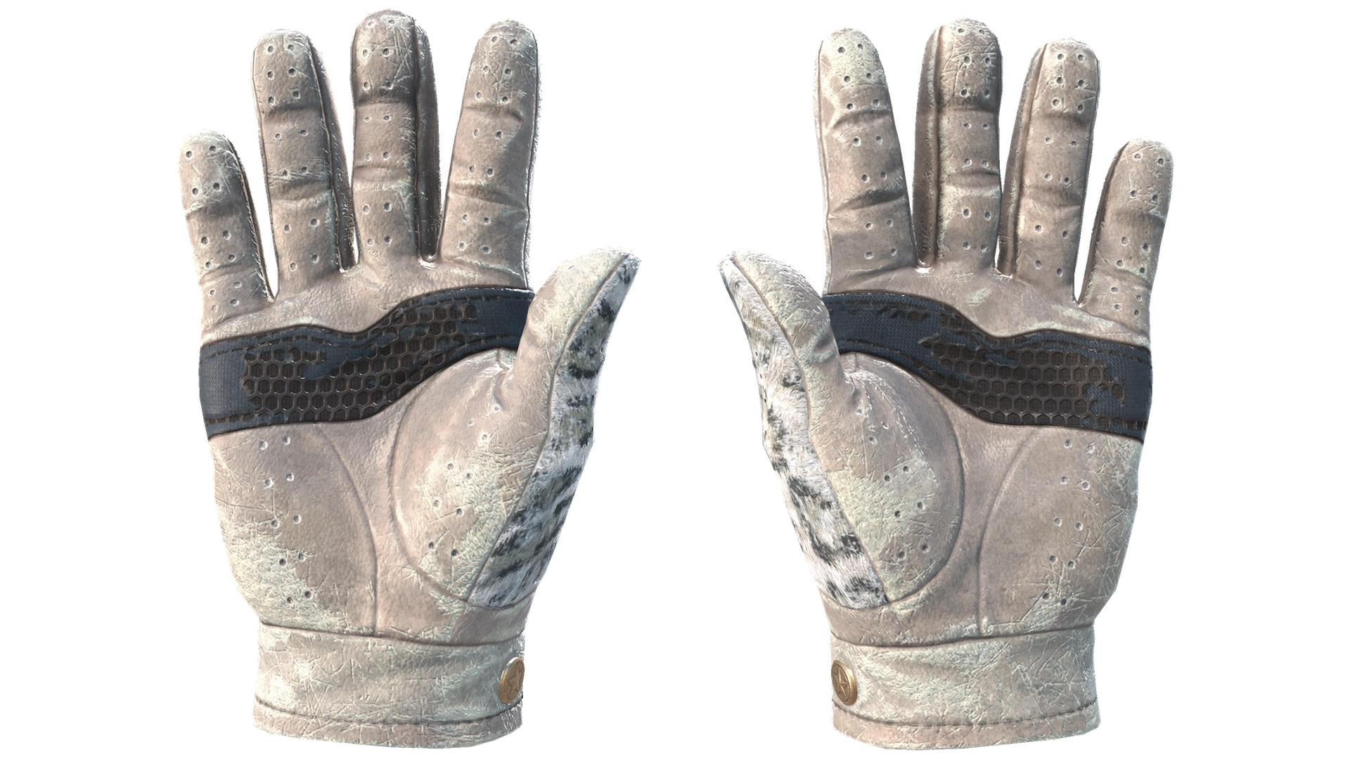 Snow Leopard image