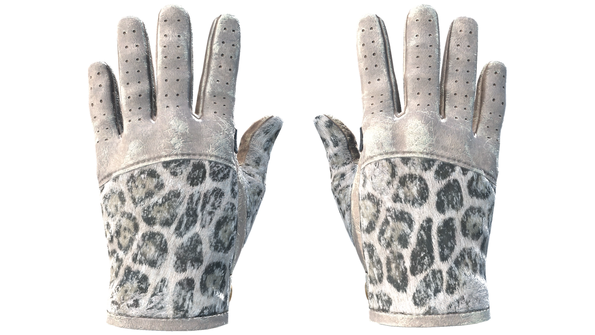 Snow Leopard image
