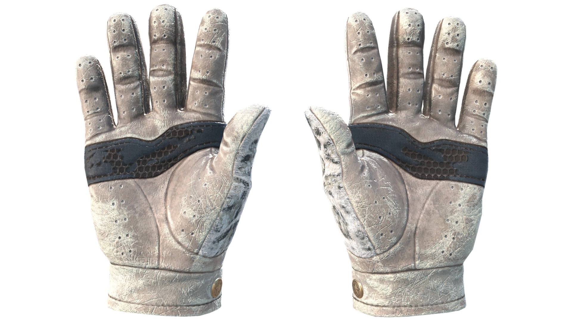Snow Leopard image