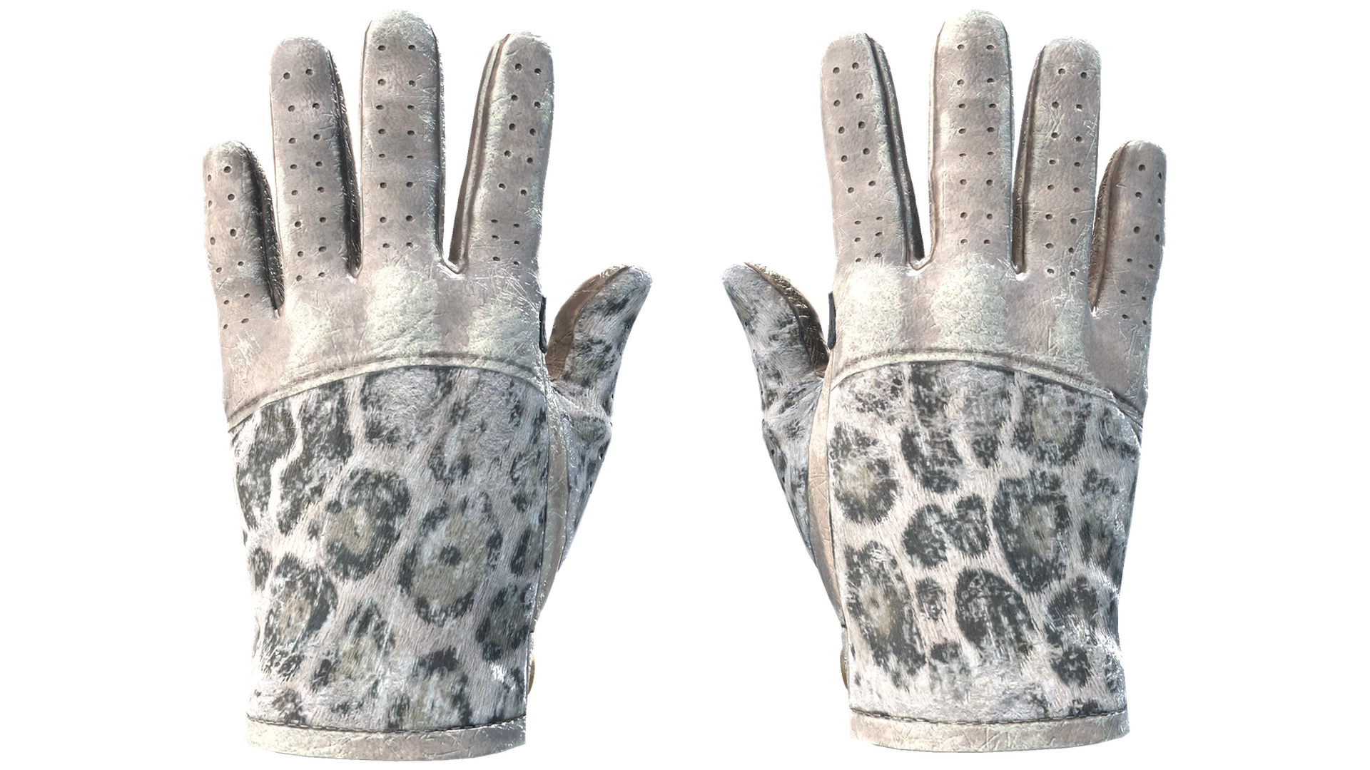 Snow Leopard image