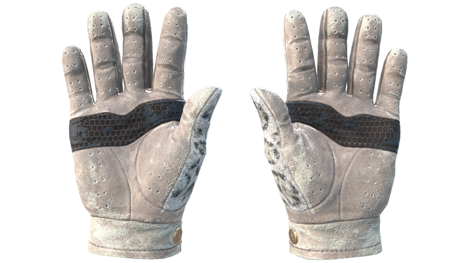Snow Leopard image