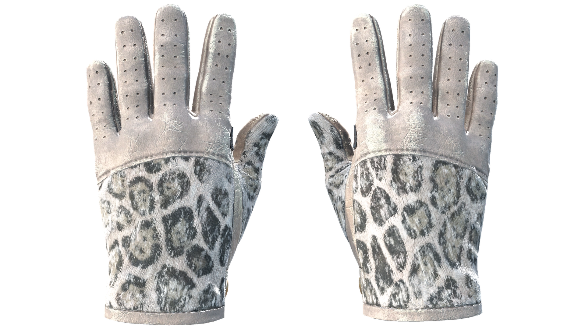 Snow Leopard image