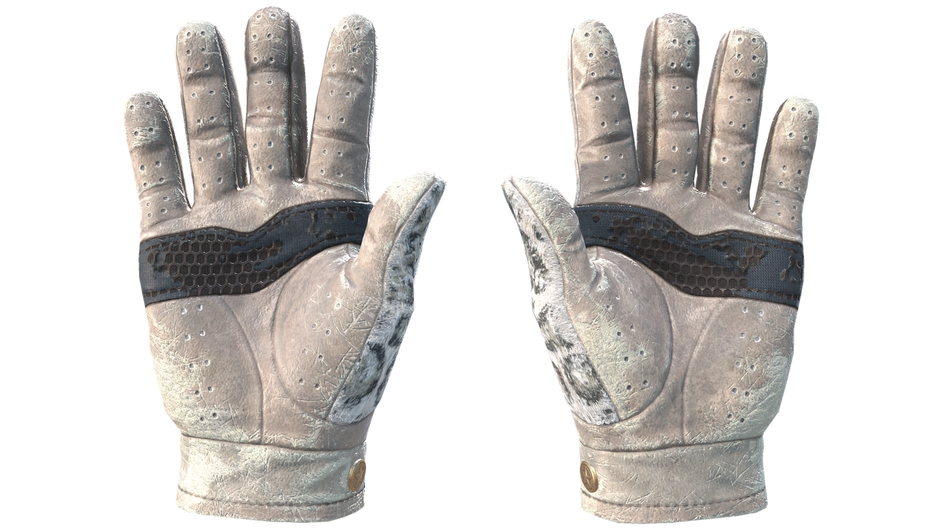Snow Leopard image