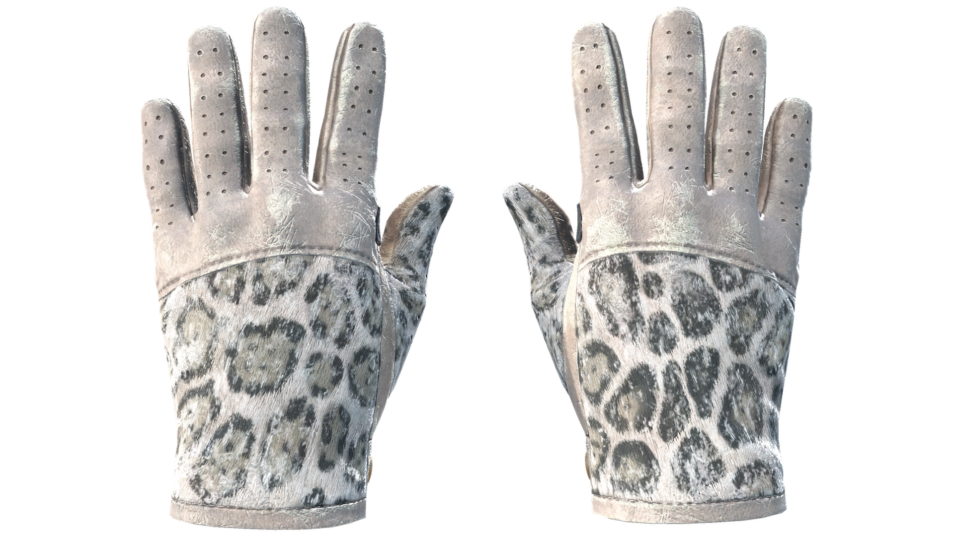 Snow Leopard image