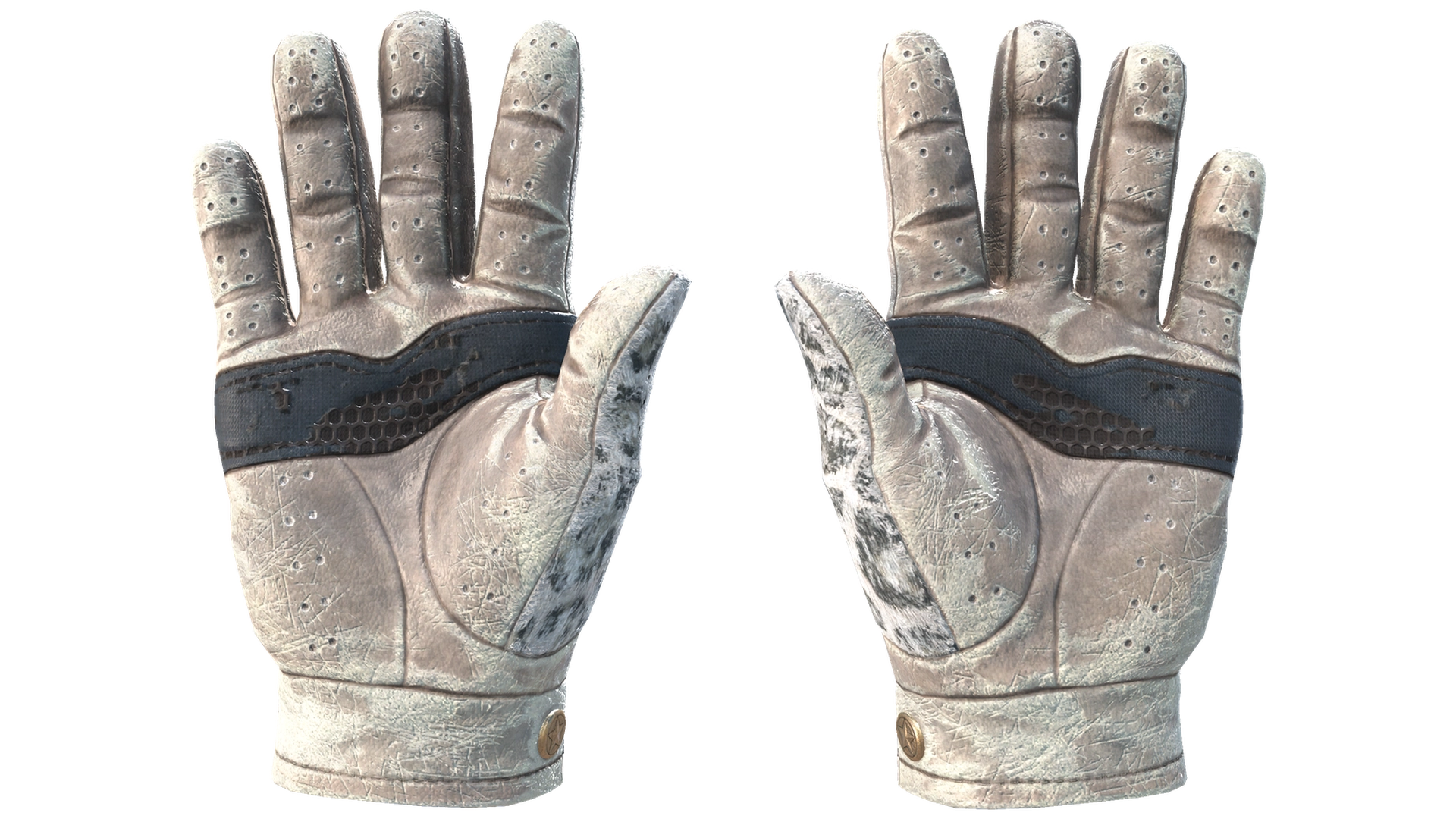 Snow Leopard image