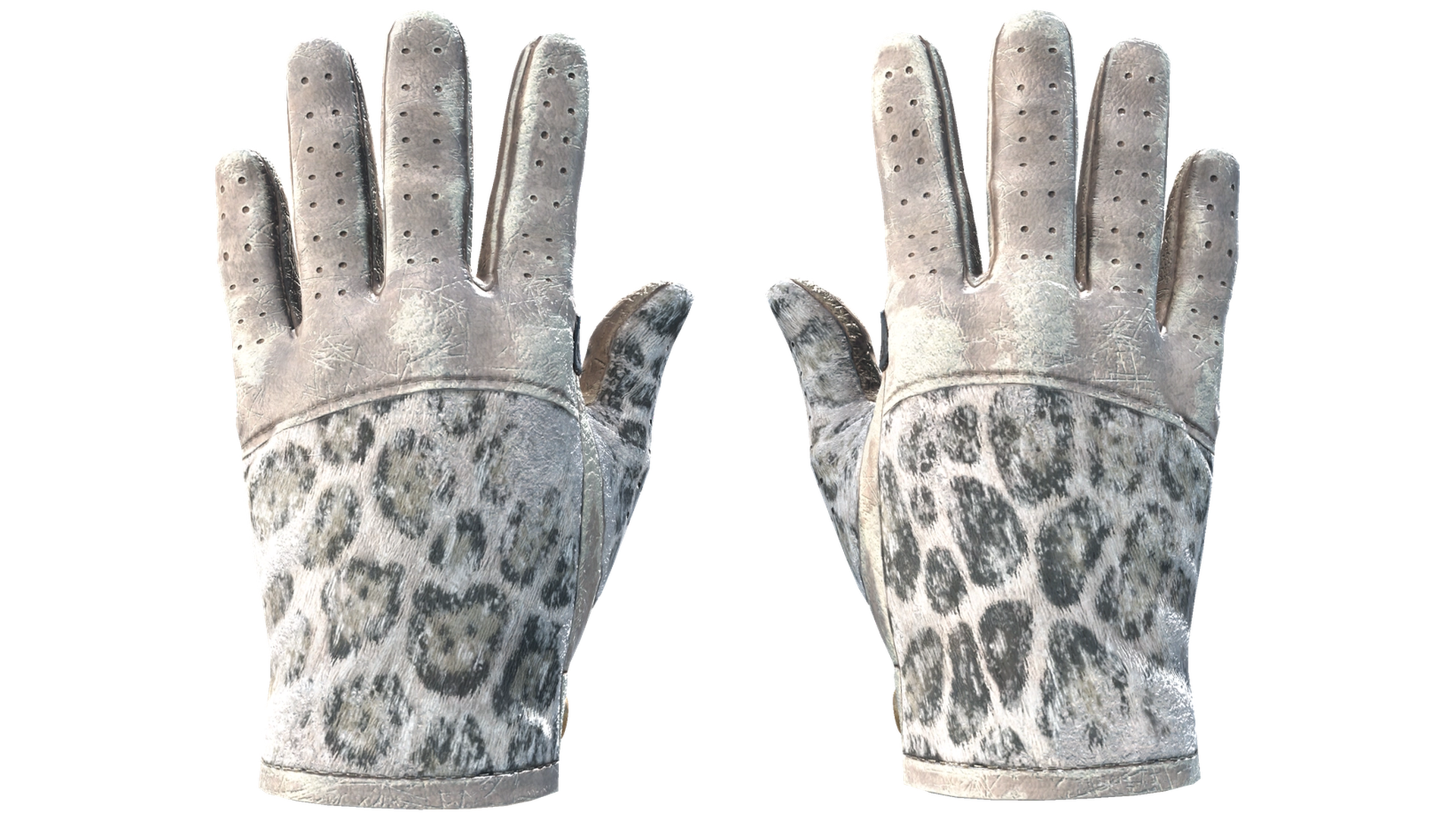 Snow Leopard image