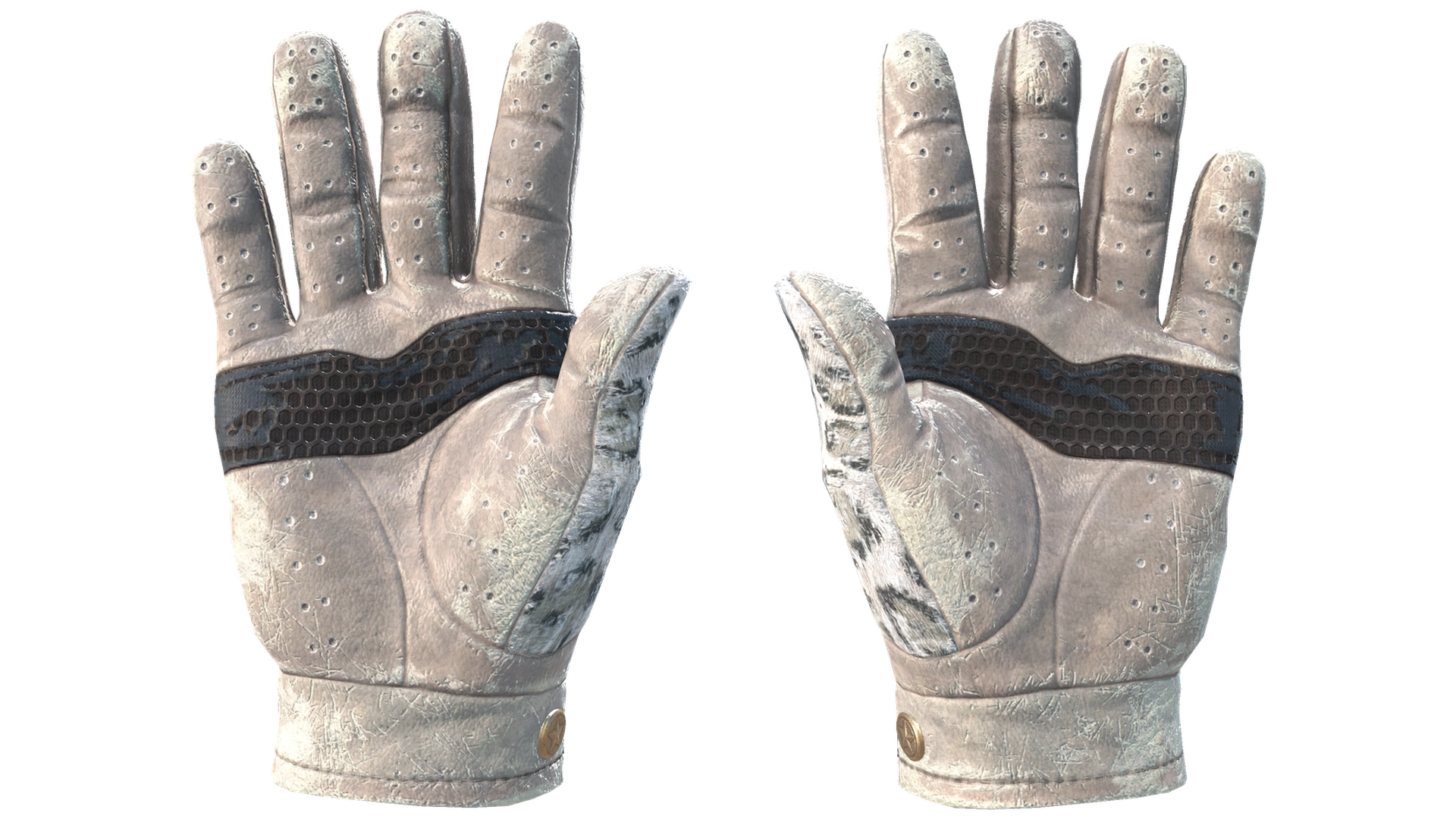 Snow Leopard image