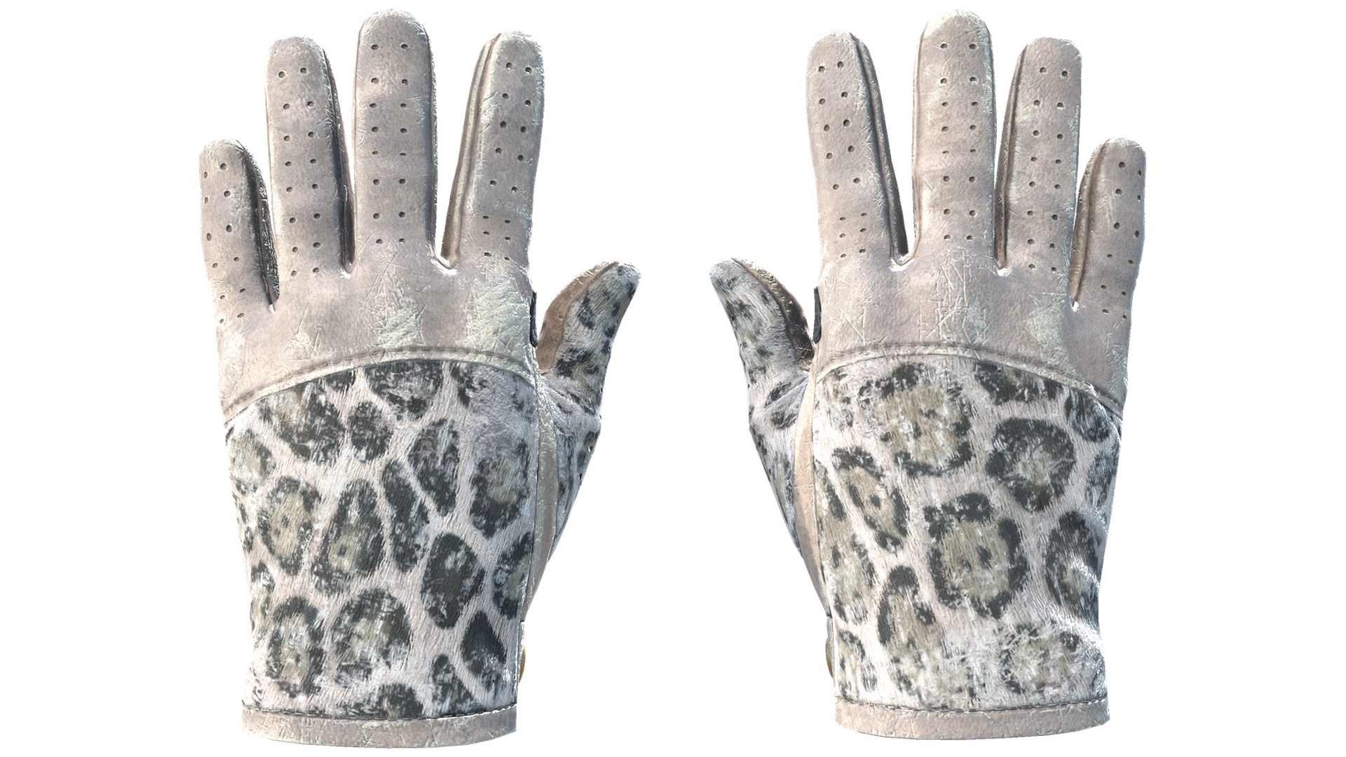 Snow Leopard image