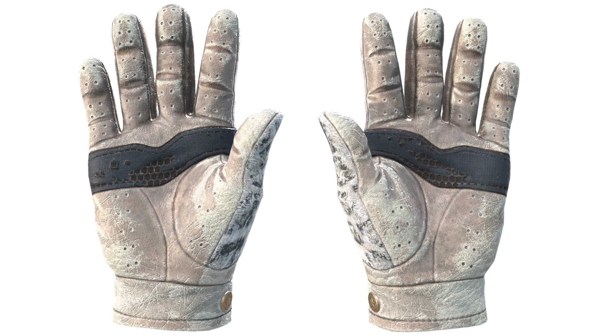 Snow Leopard image