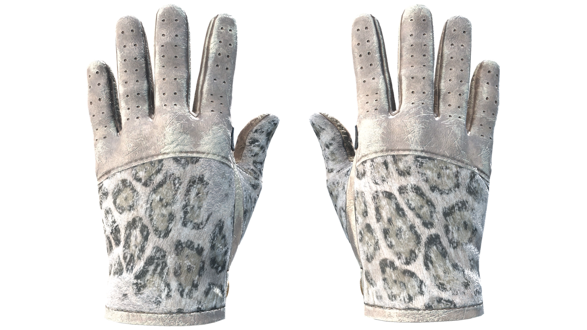 Snow Leopard image