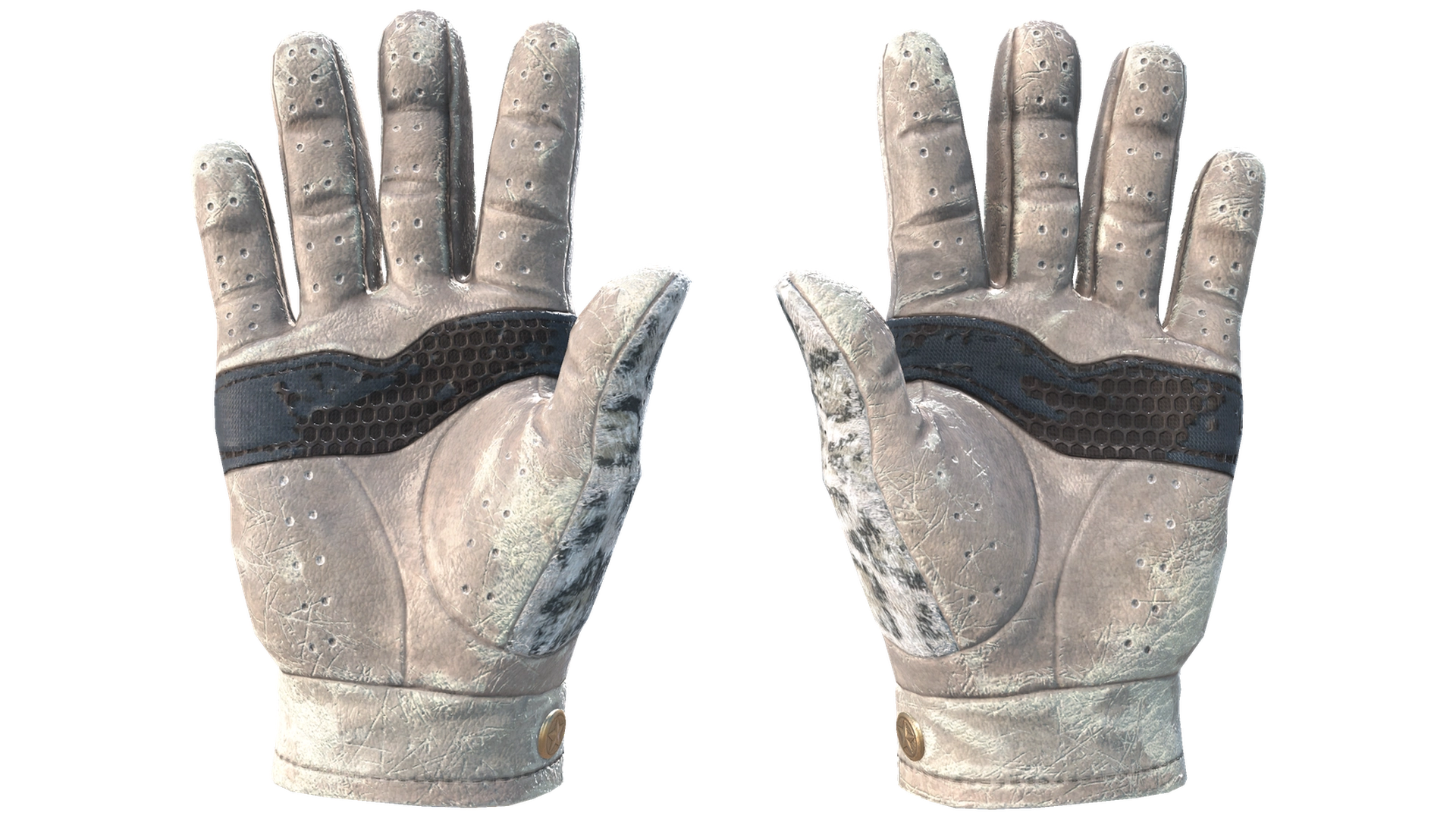 Snow Leopard image