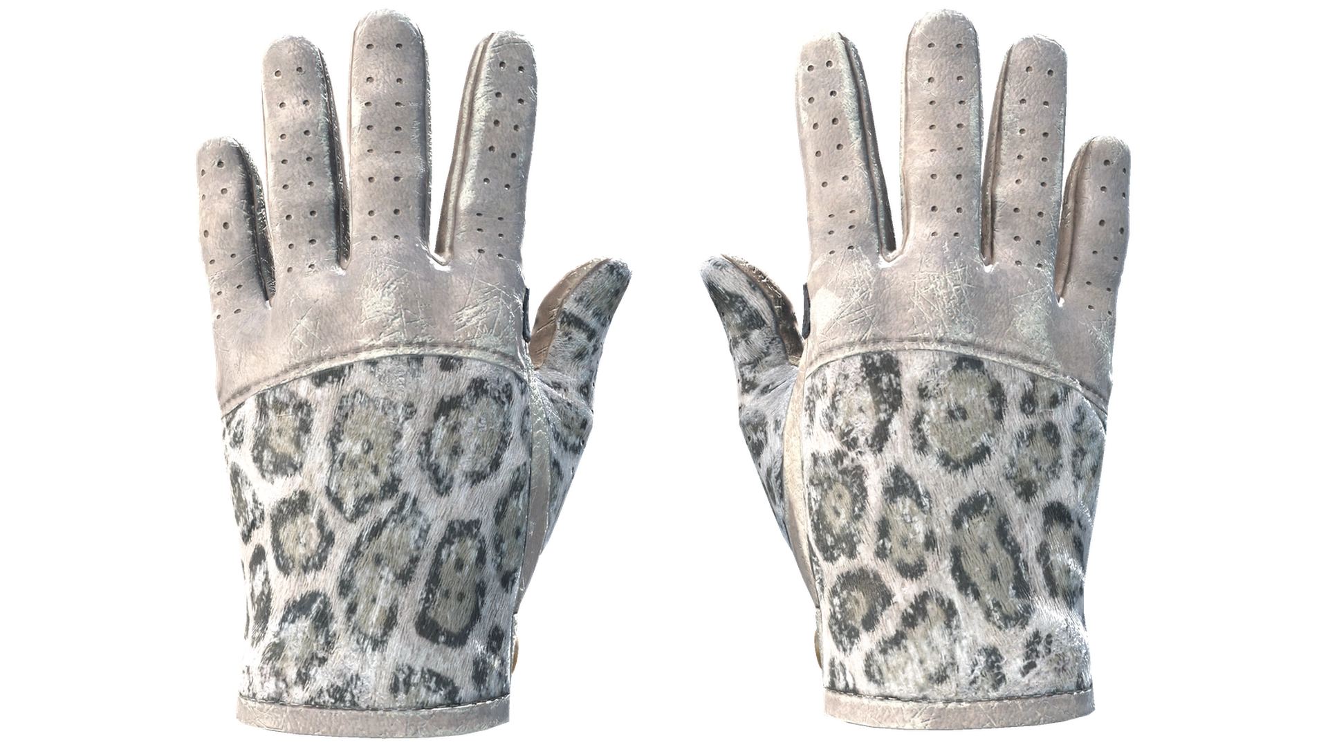Snow Leopard image