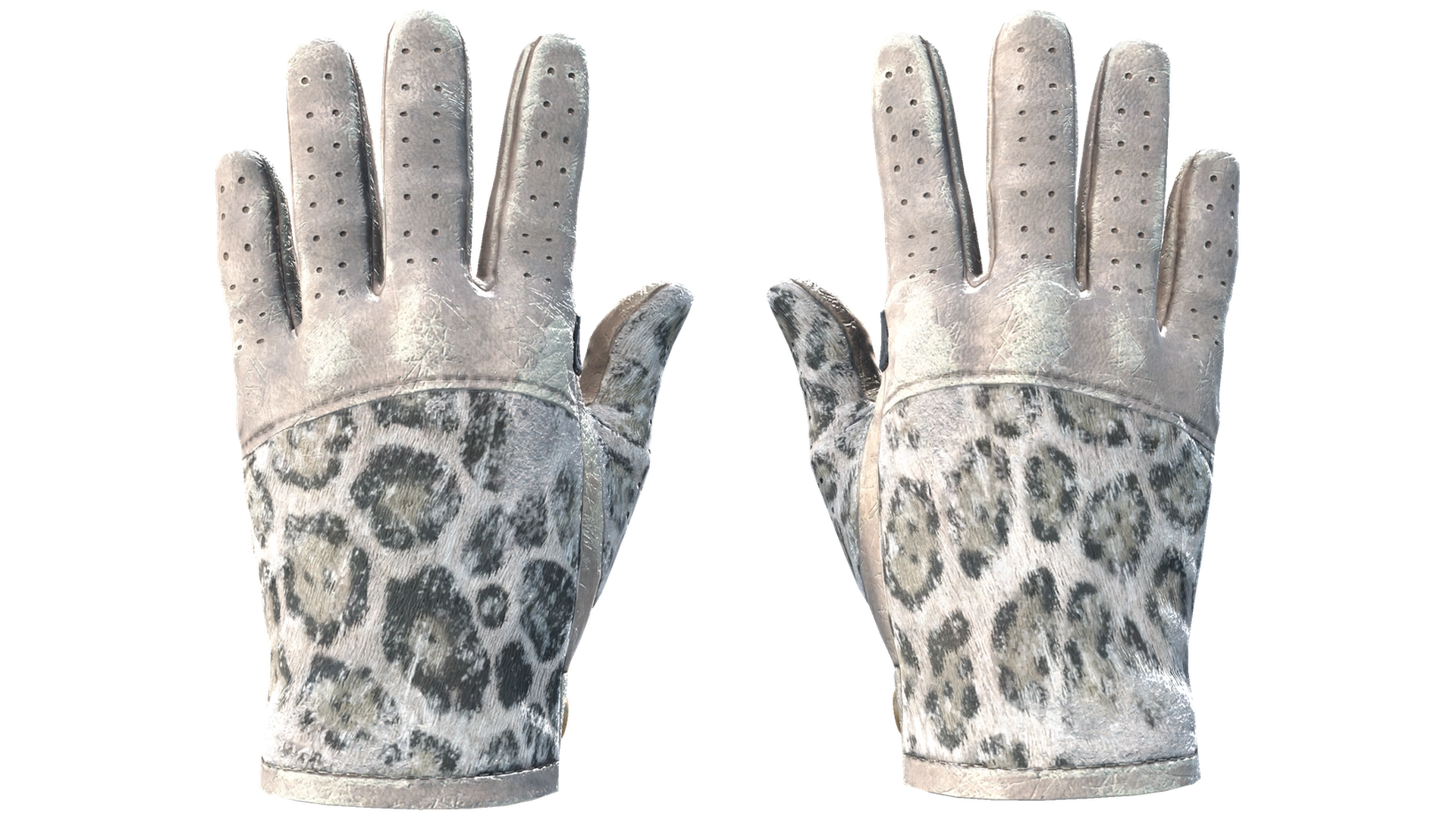 Snow Leopard image