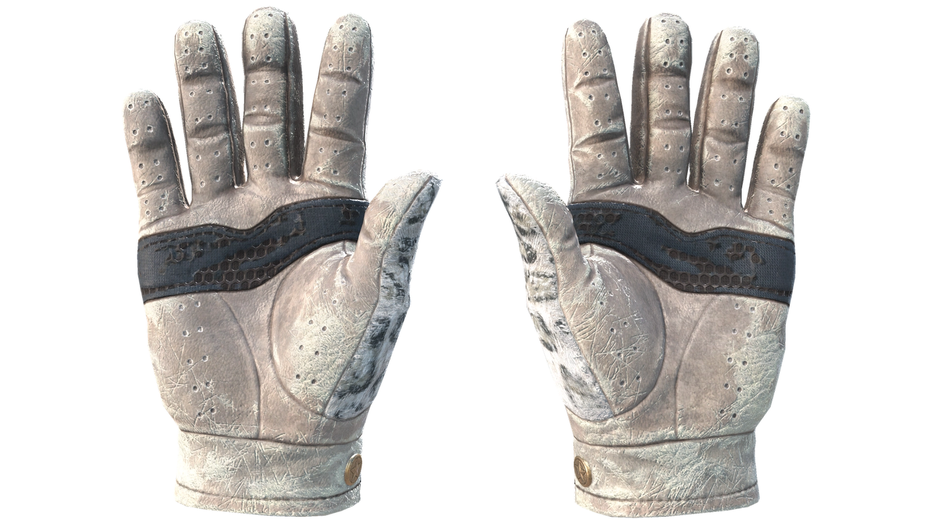 Snow Leopard image