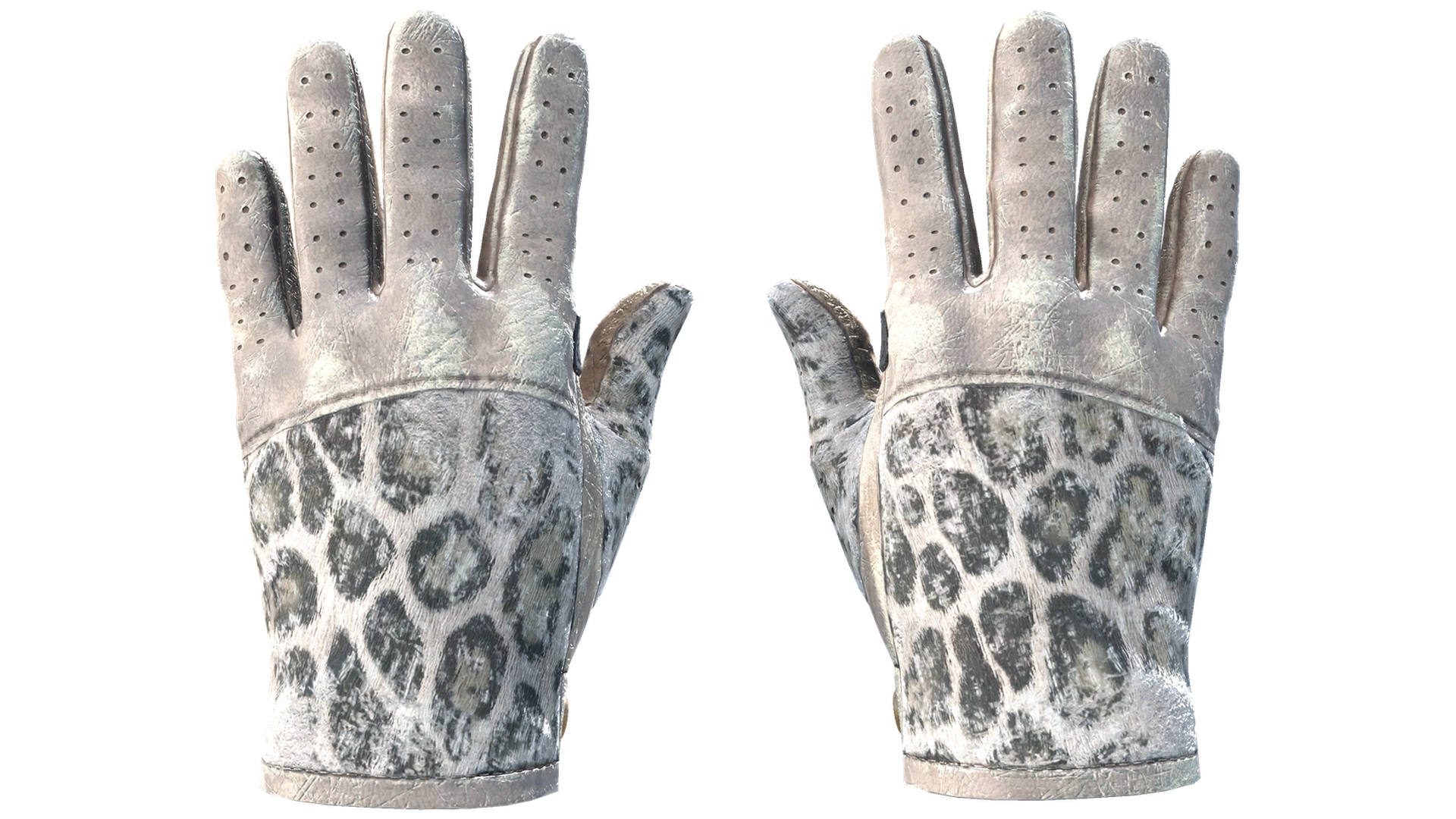 Snow Leopard image