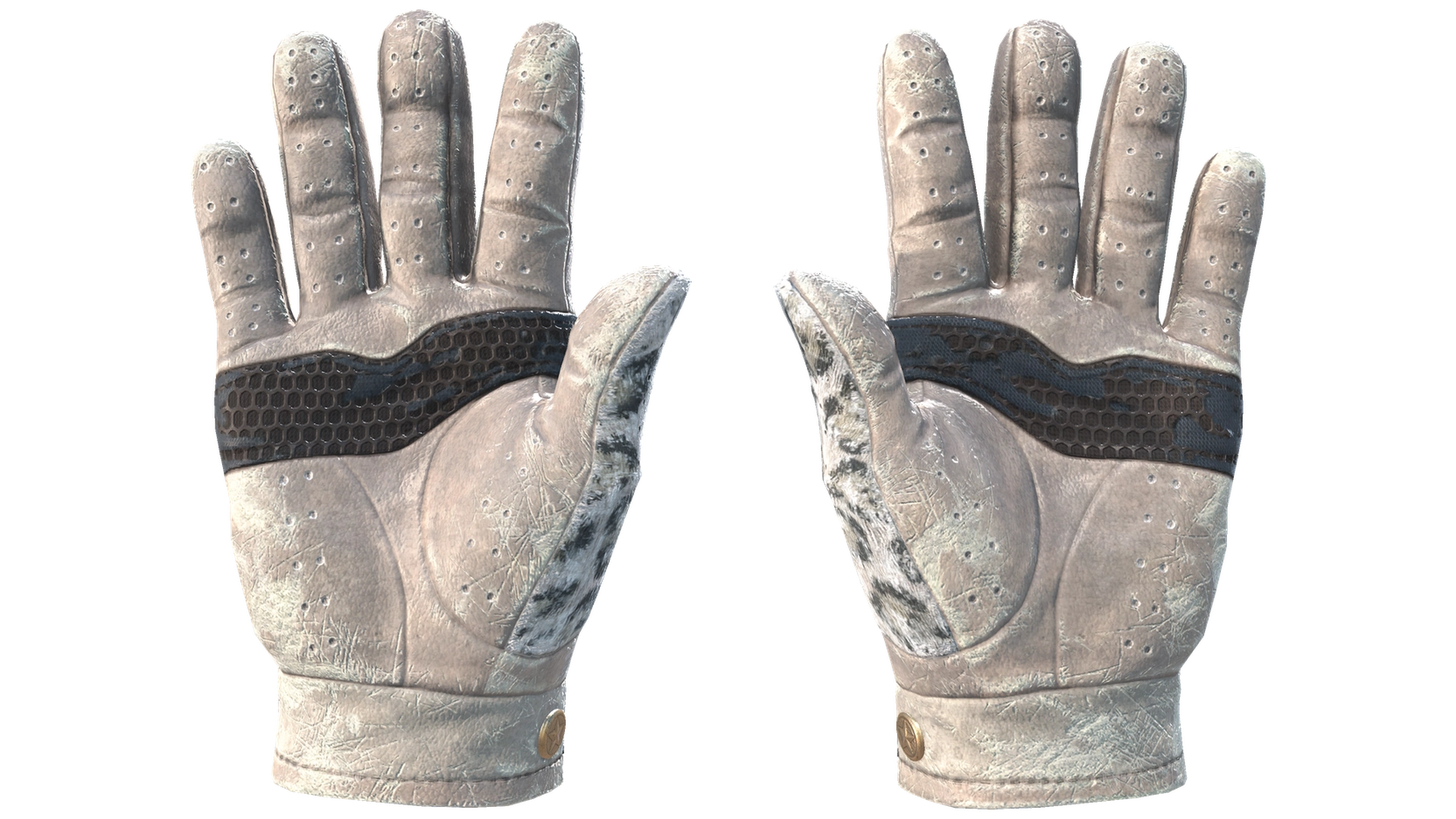 Snow Leopard image