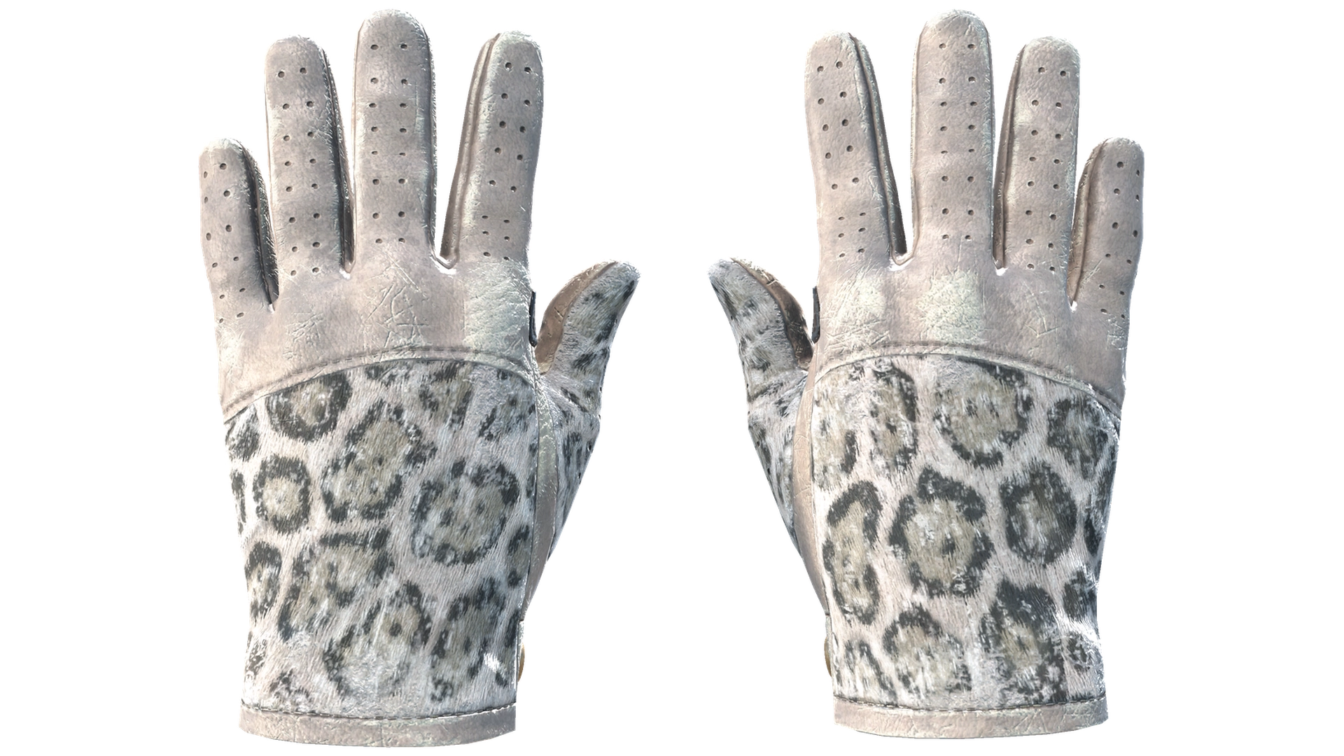 Snow Leopard image