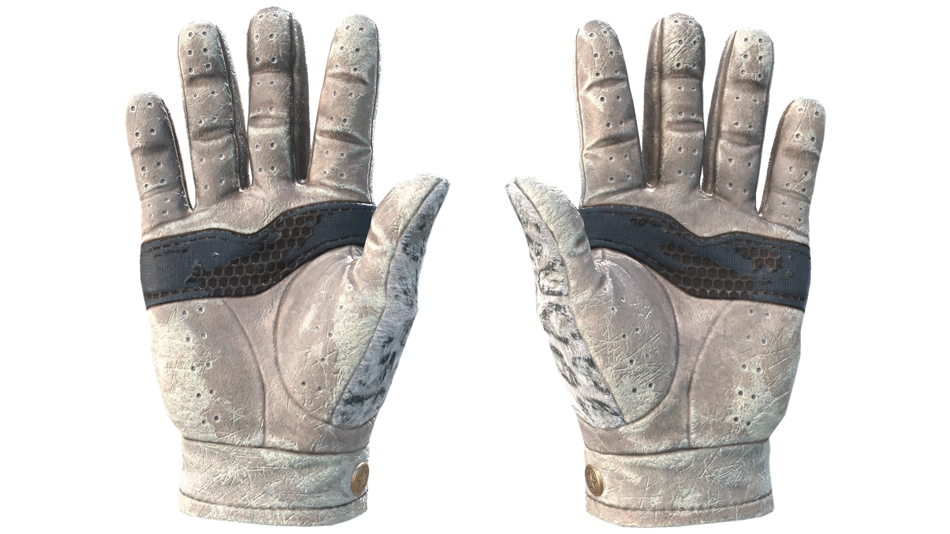 Snow Leopard image