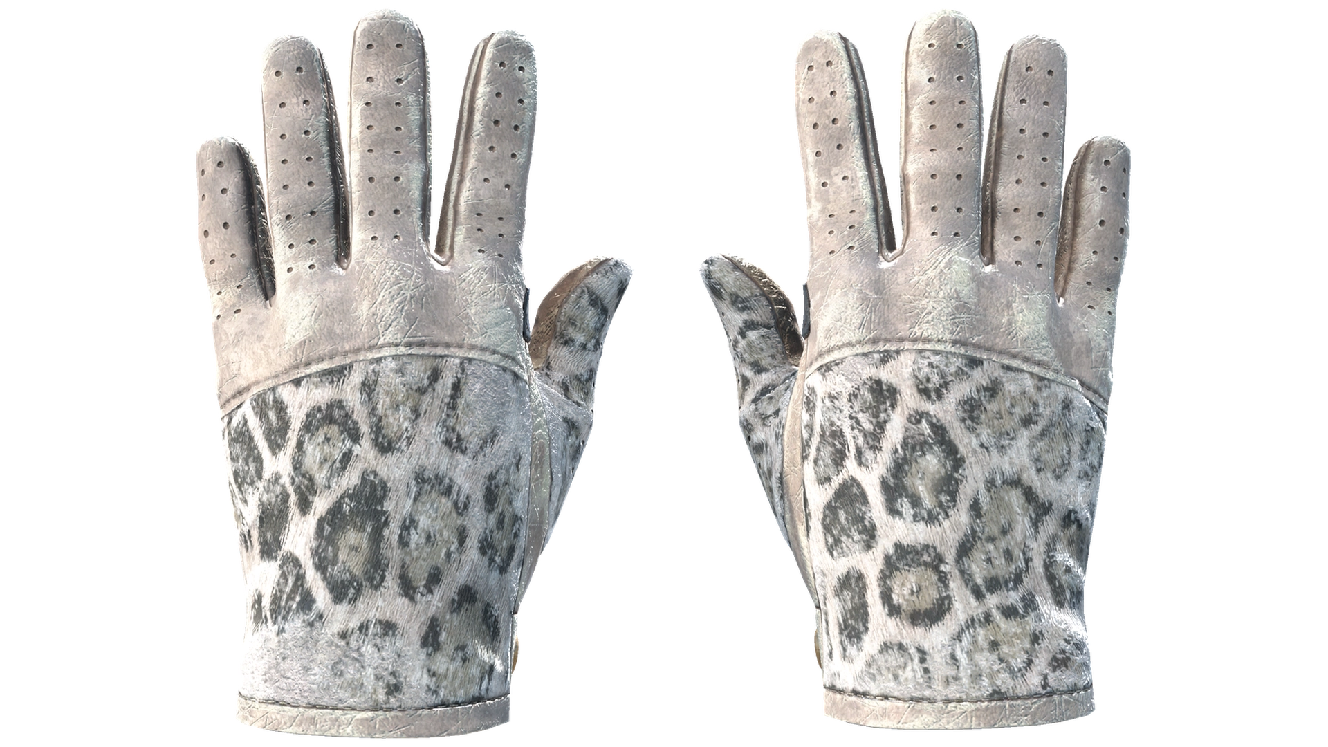 Snow Leopard image
