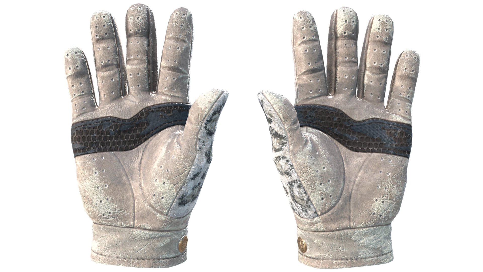 Snow Leopard image
