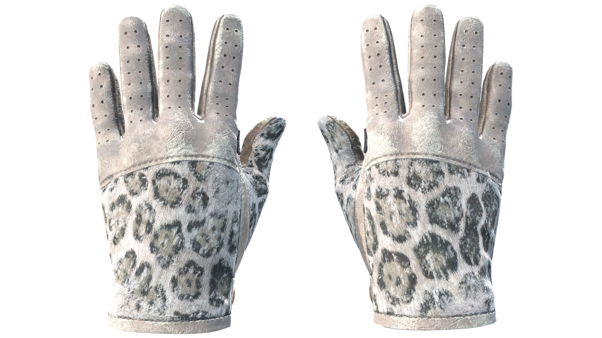 Snow Leopard image