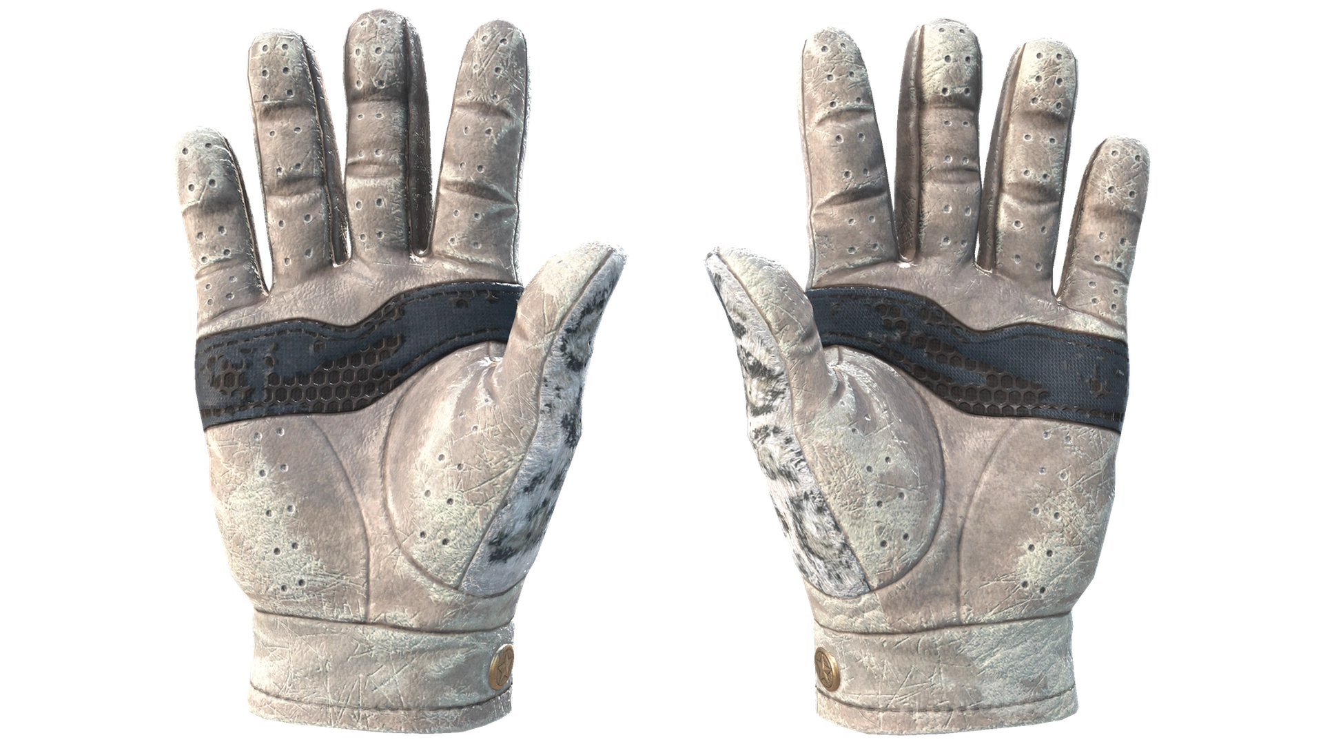 Snow Leopard image