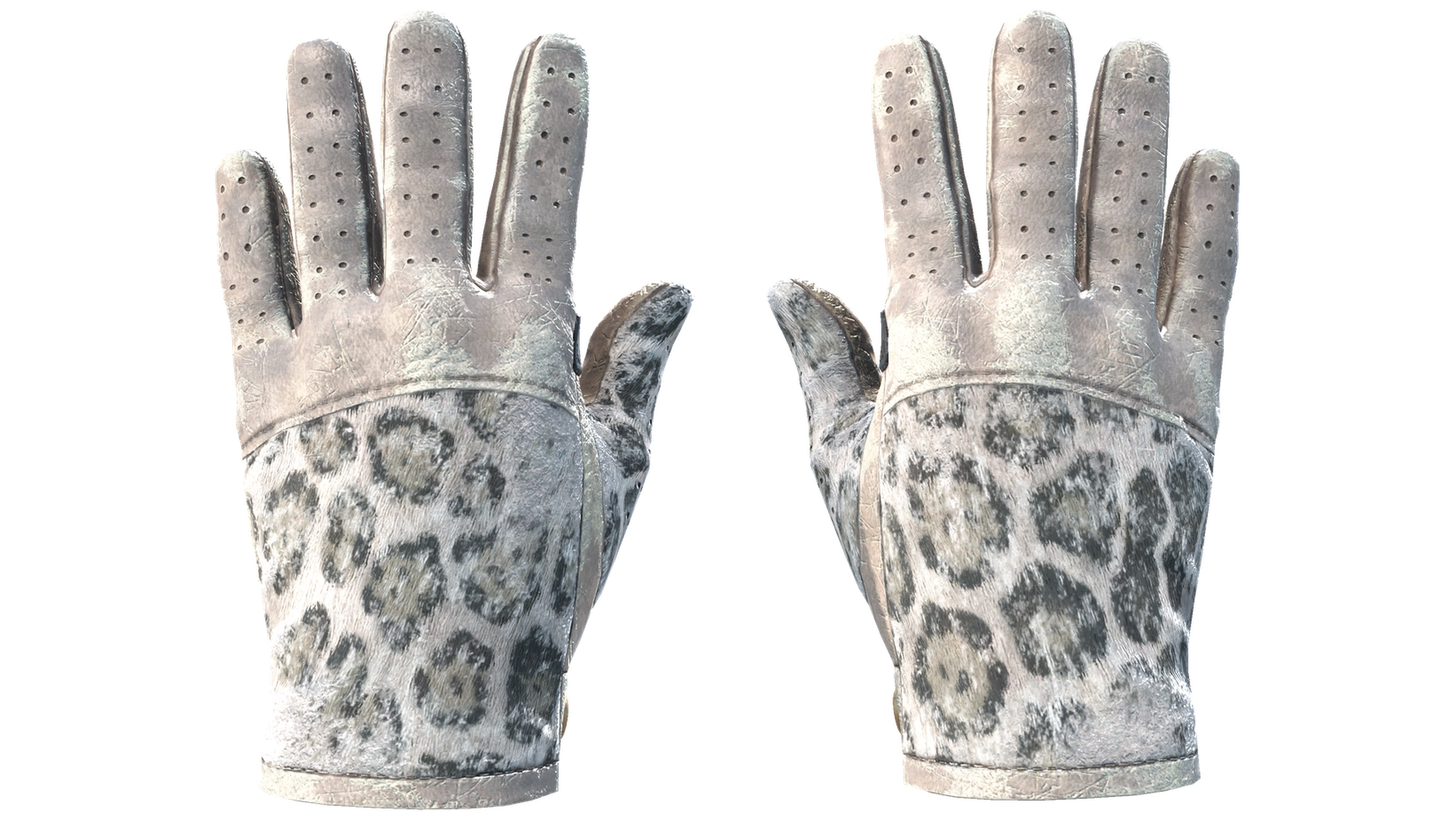Snow Leopard image