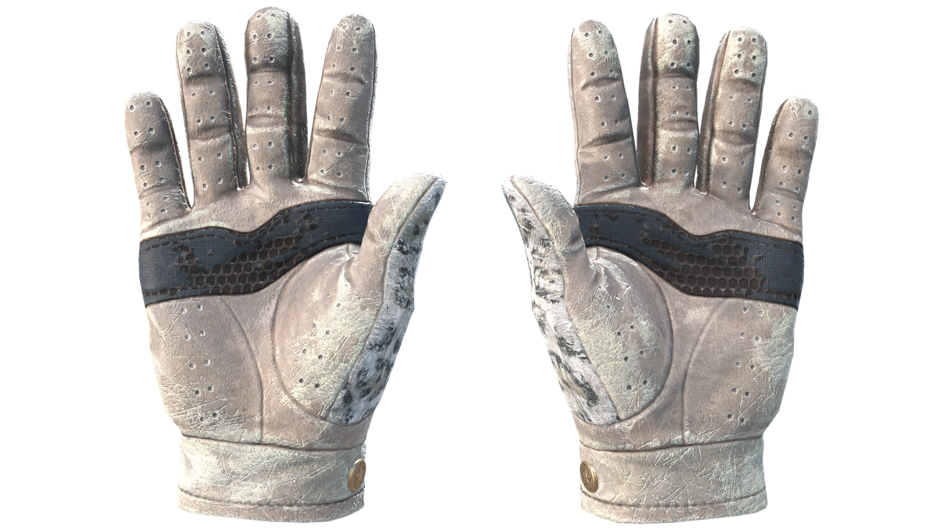 Snow Leopard image