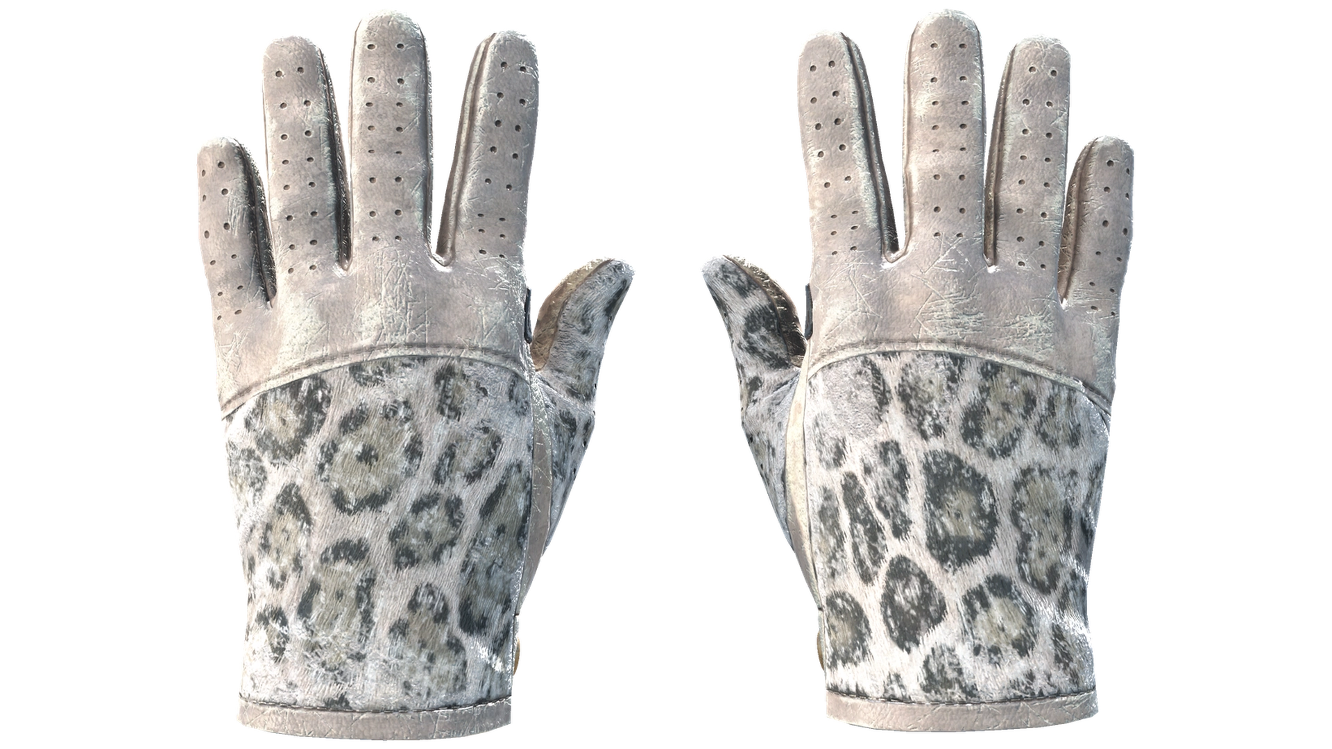 Snow Leopard image