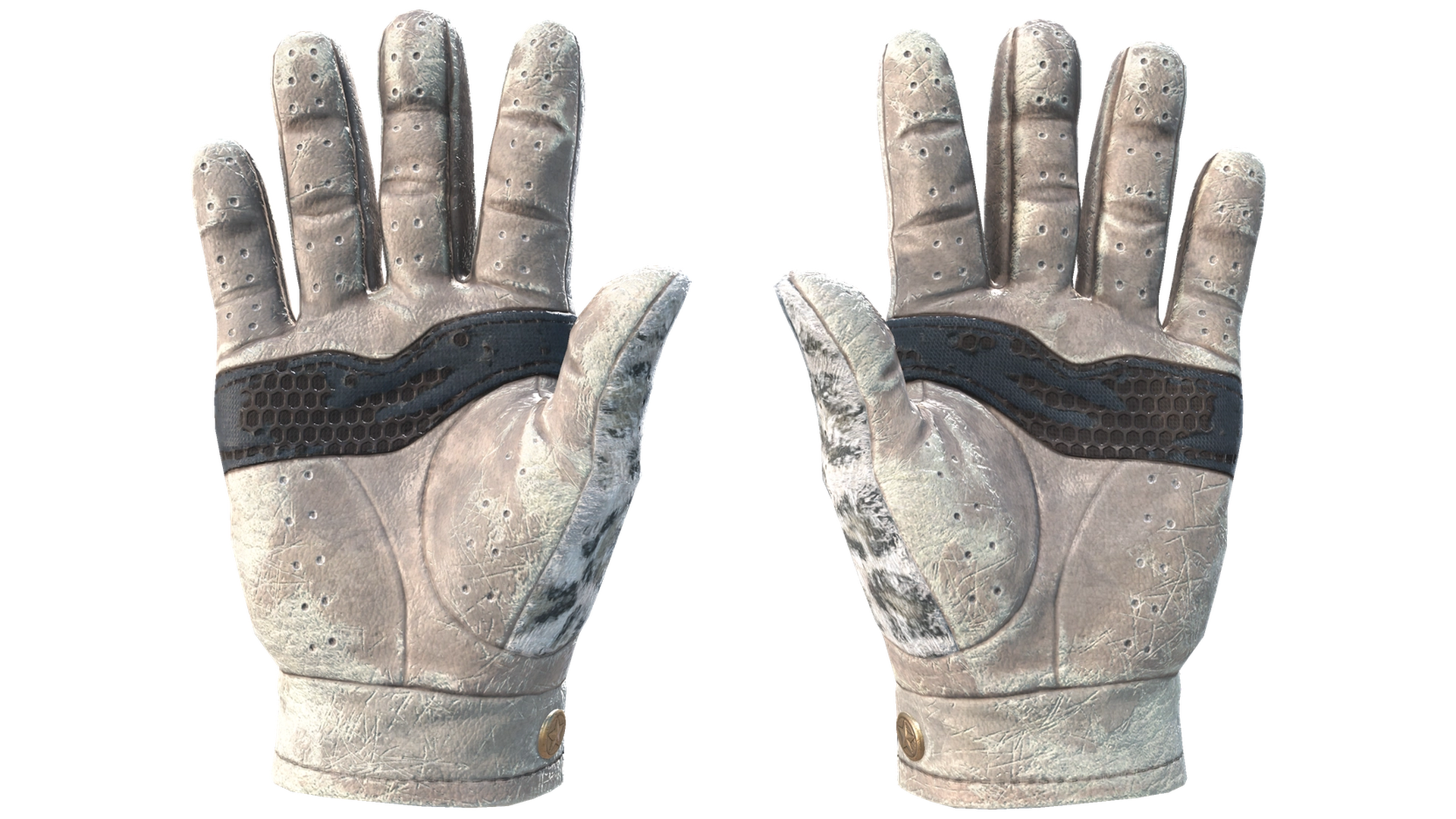 Snow Leopard image