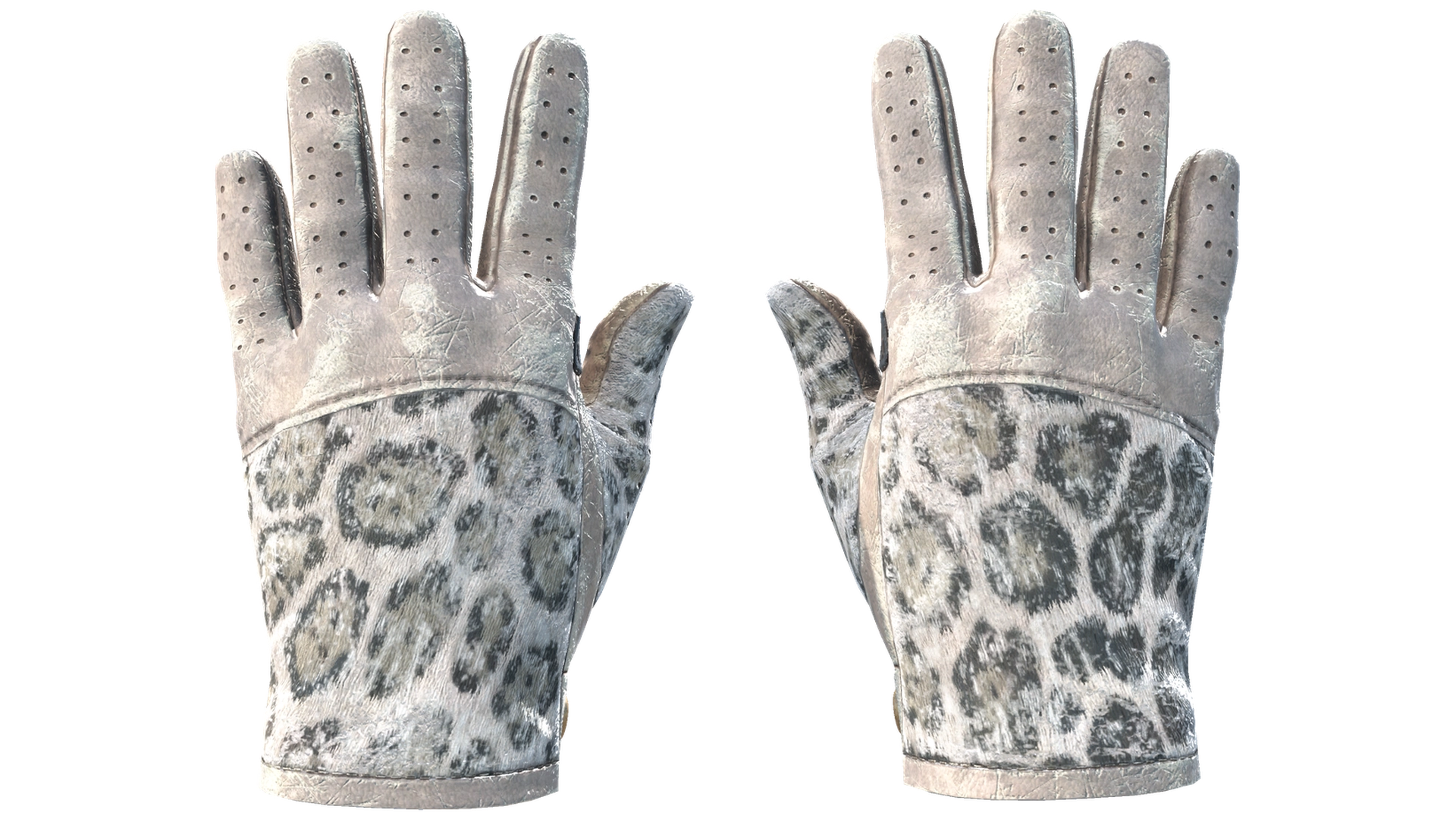 Snow Leopard image