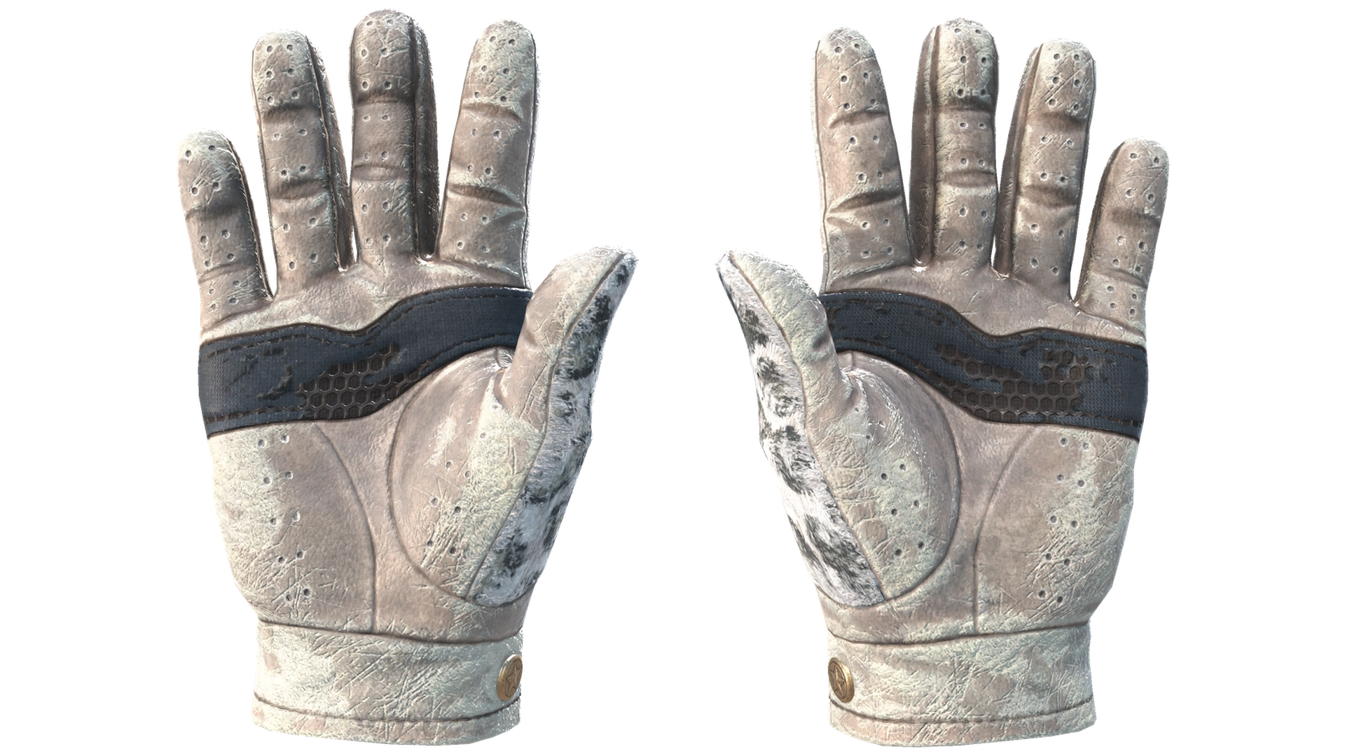 Snow Leopard image