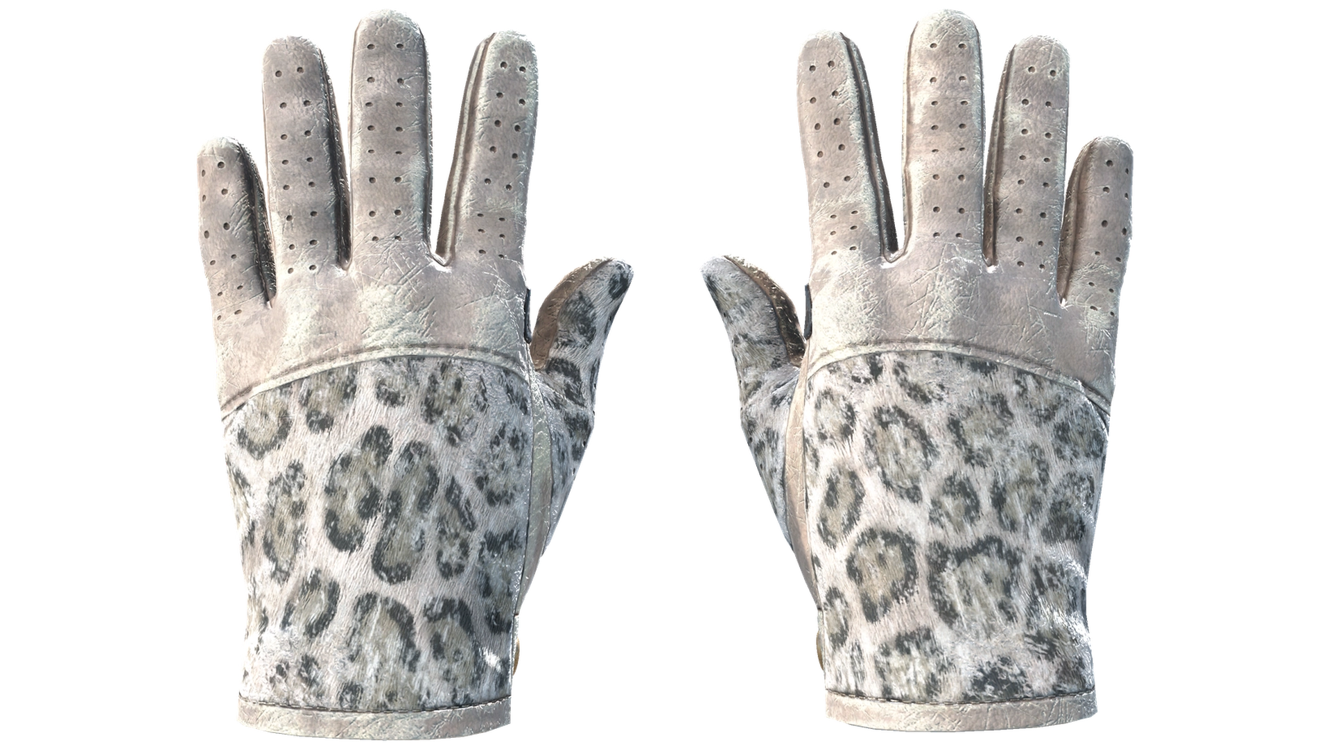 Snow Leopard image