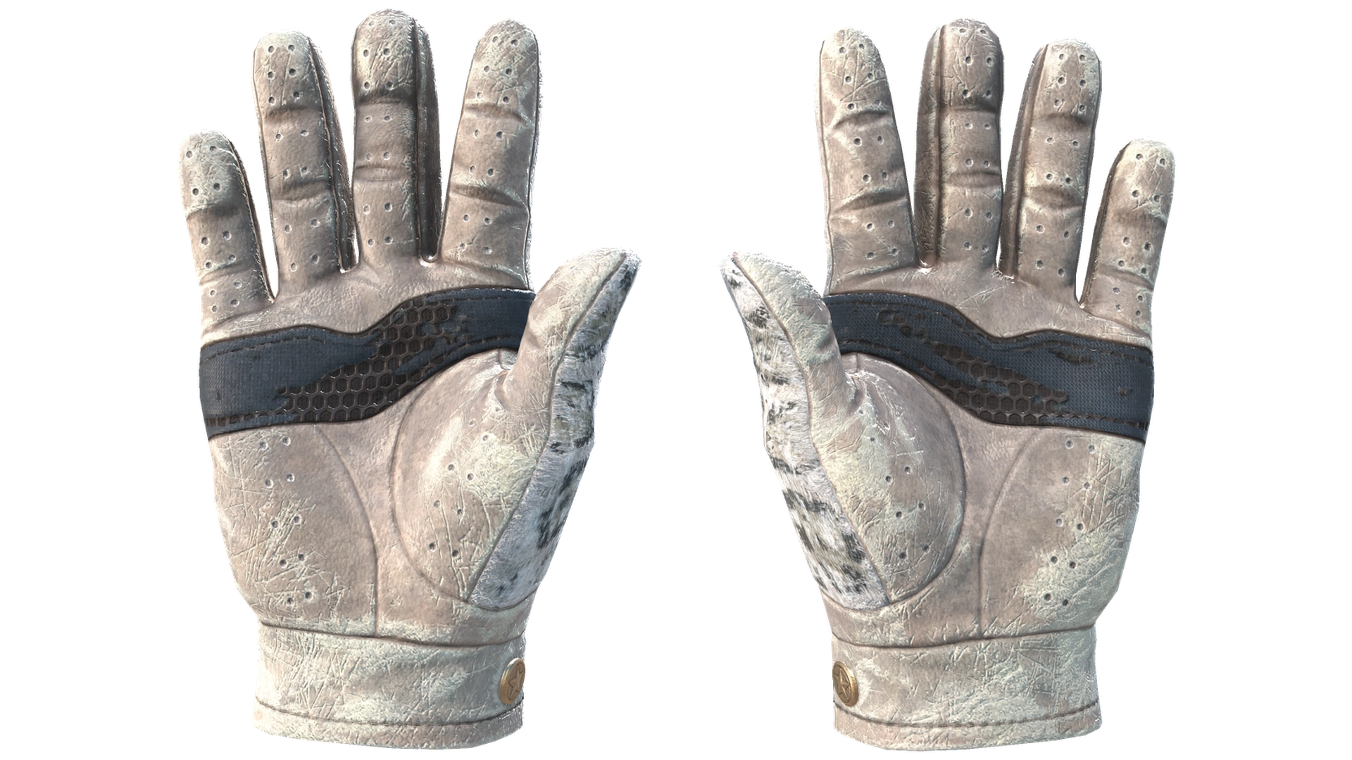 Snow Leopard image
