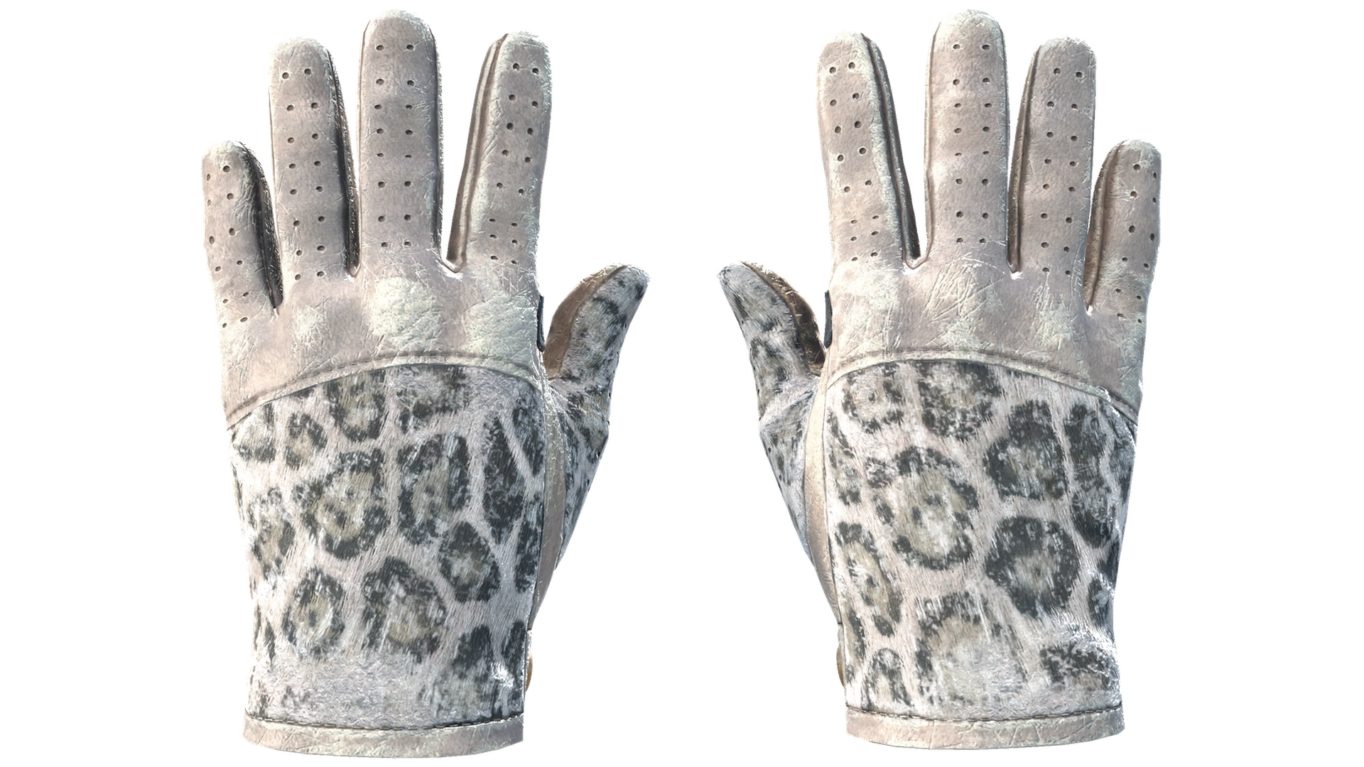 Snow Leopard image