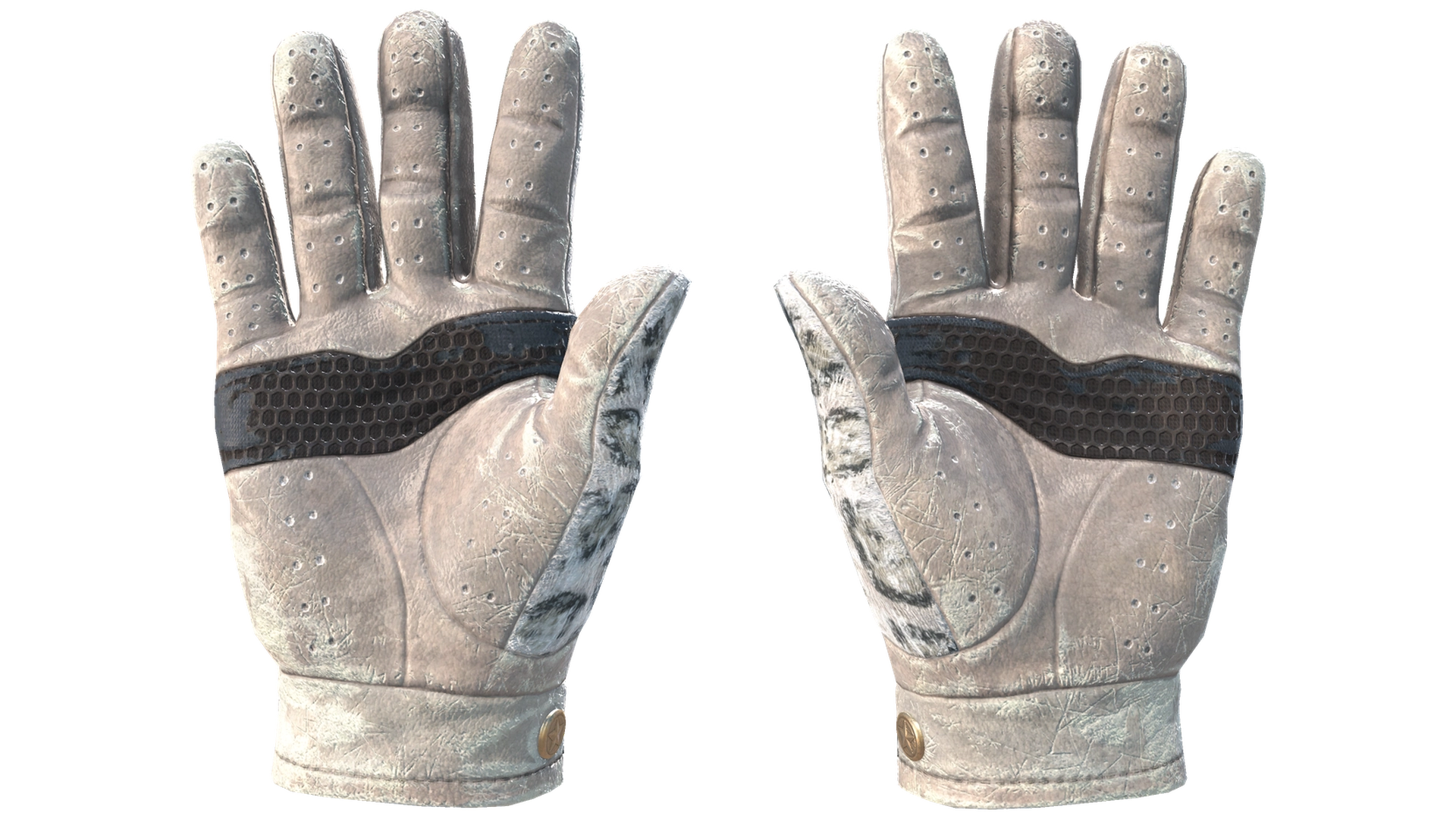 Snow Leopard image
