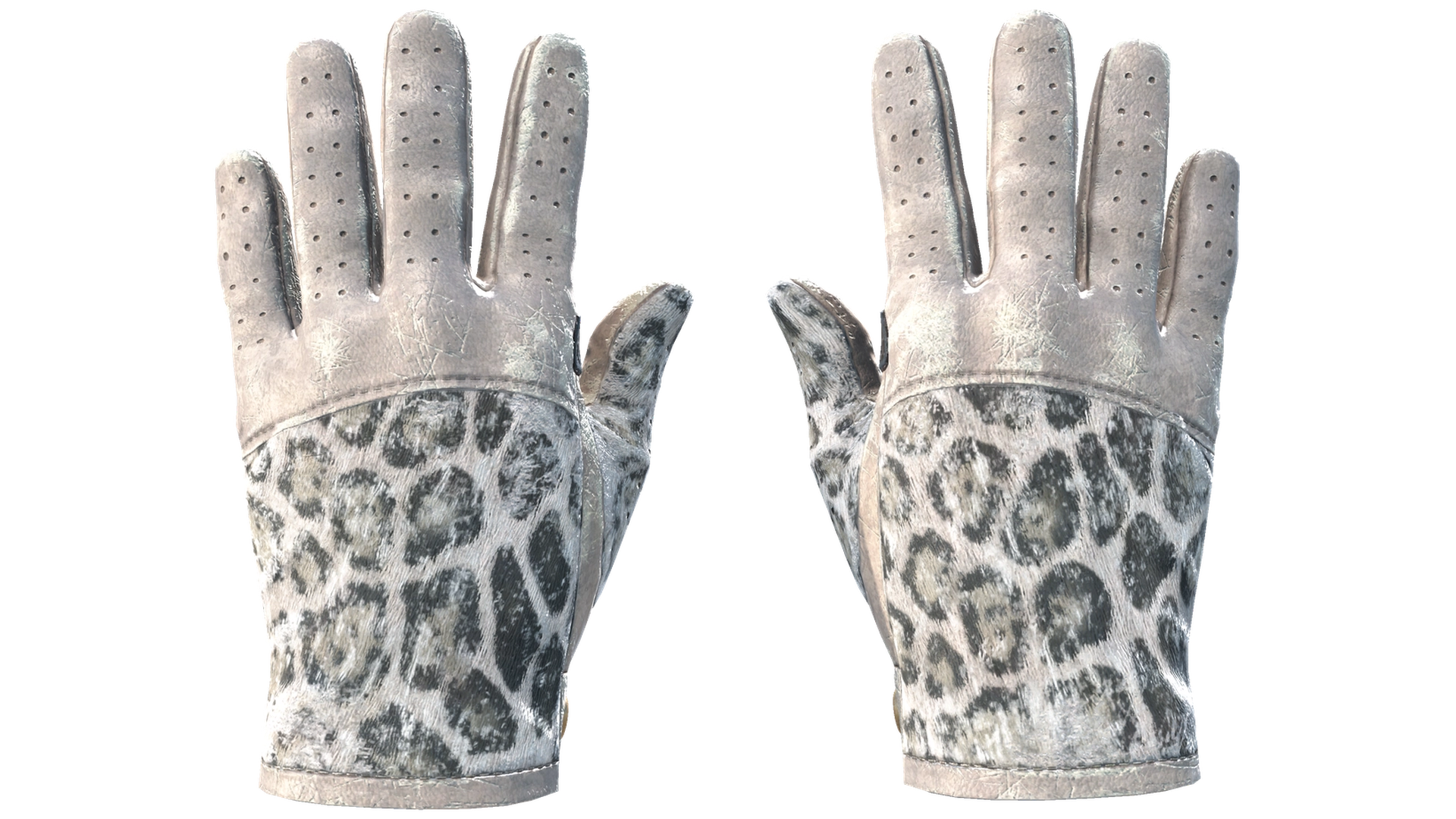 Snow Leopard image