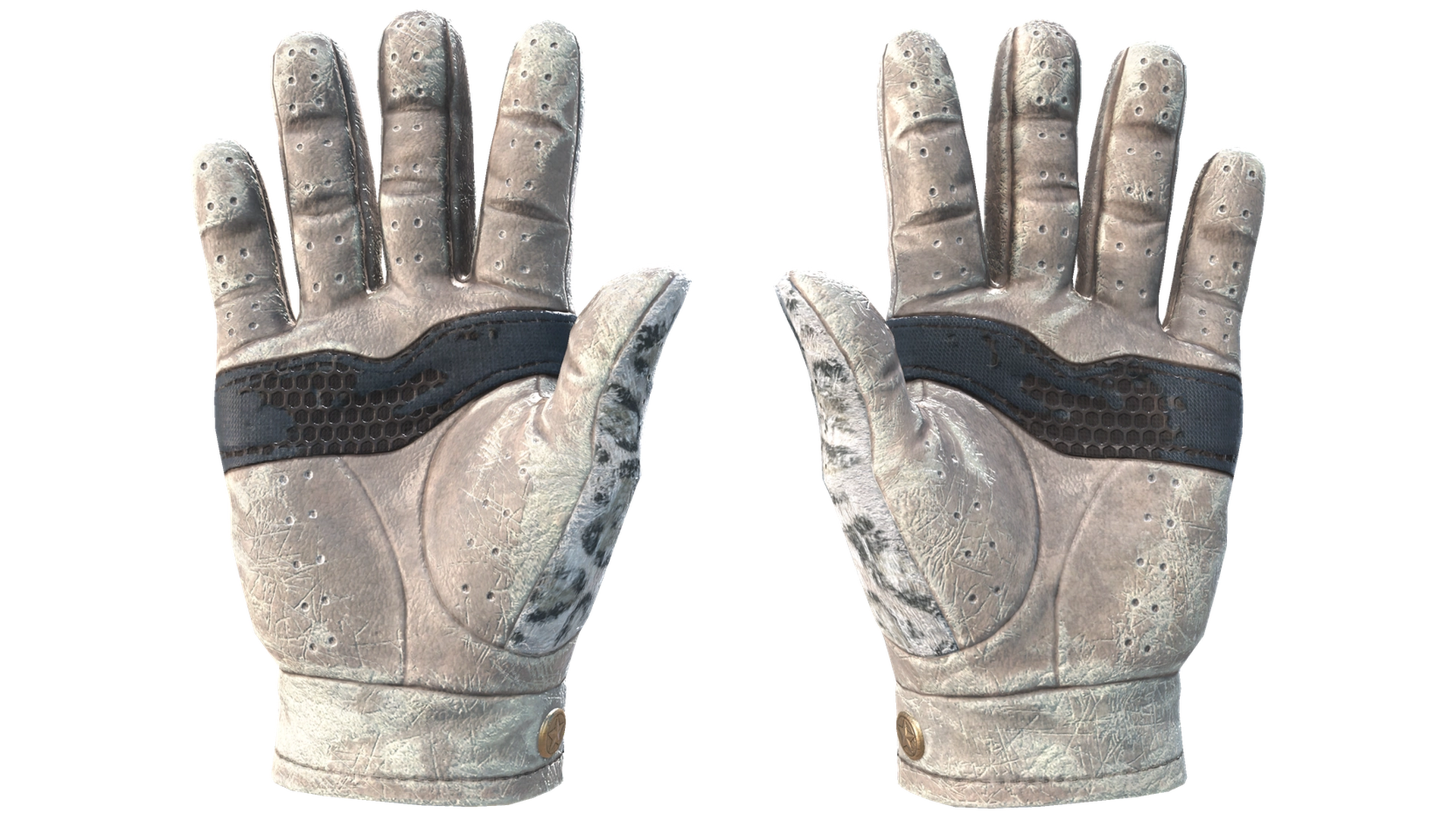 Snow Leopard image