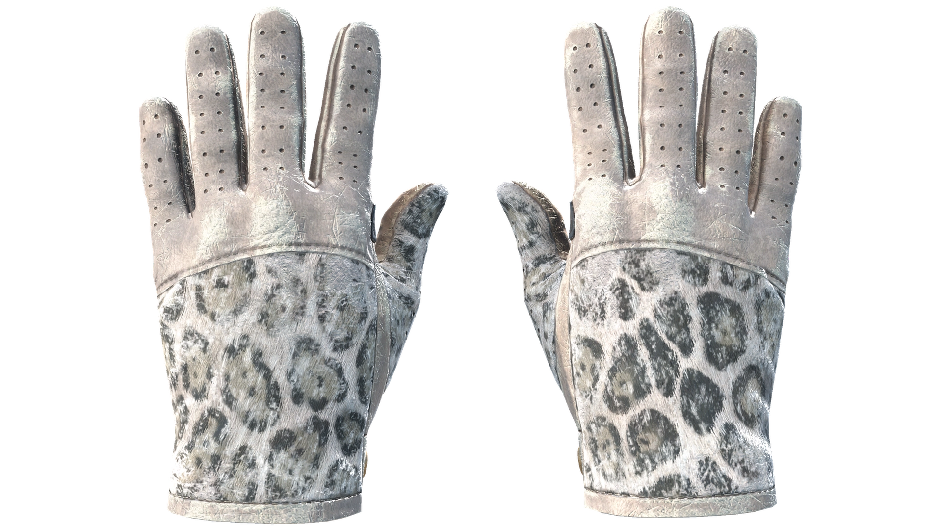 Snow Leopard image