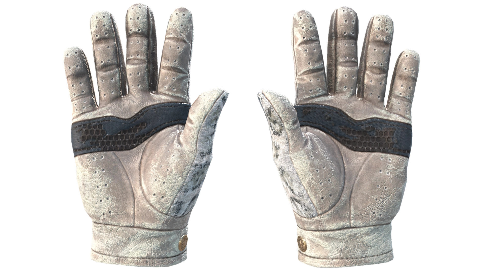 Snow Leopard image