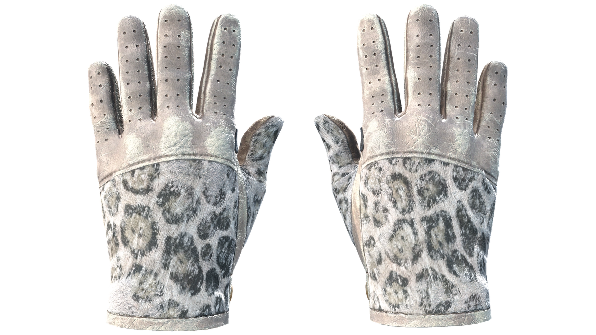 Snow Leopard image