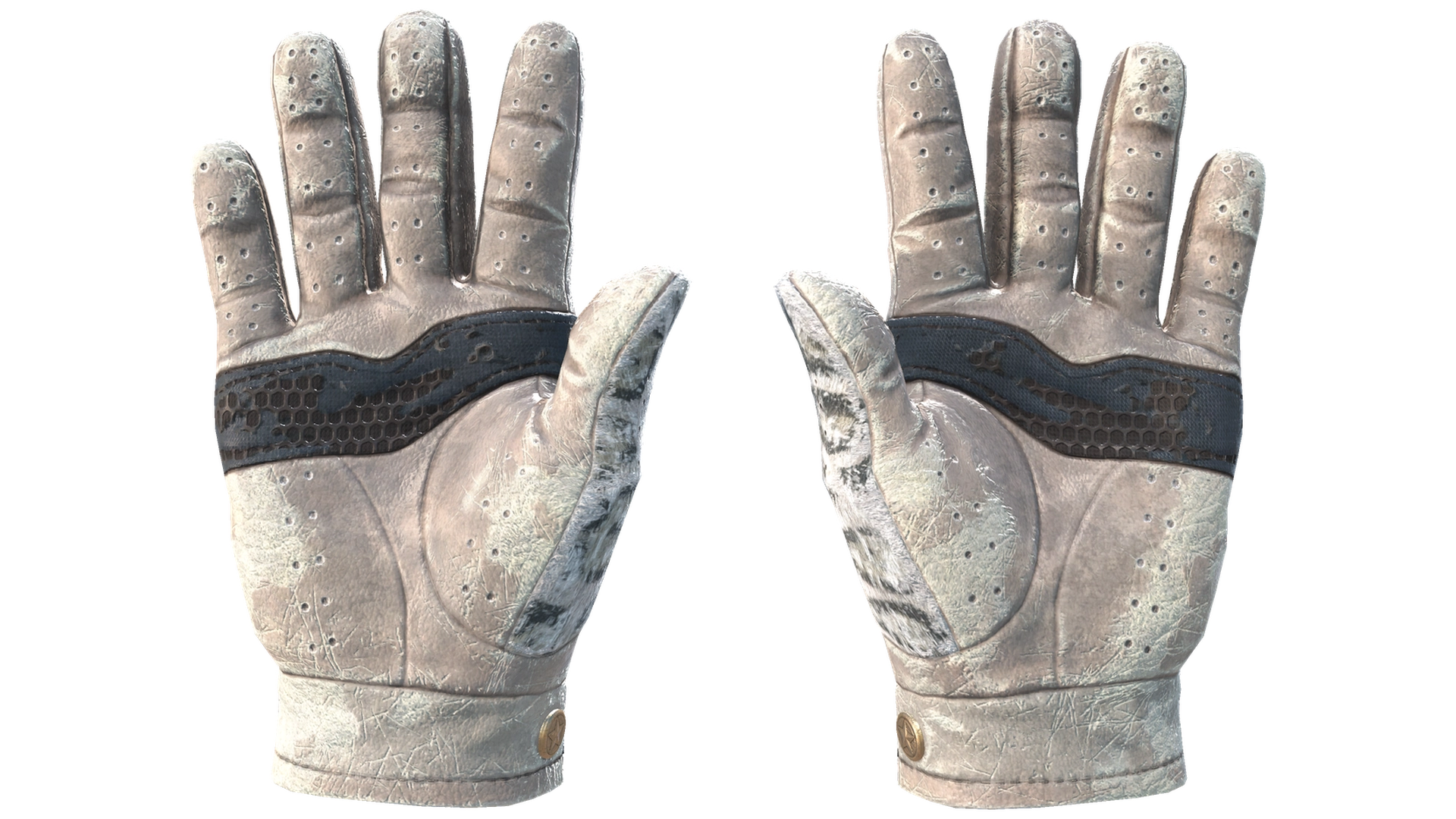 Snow Leopard image