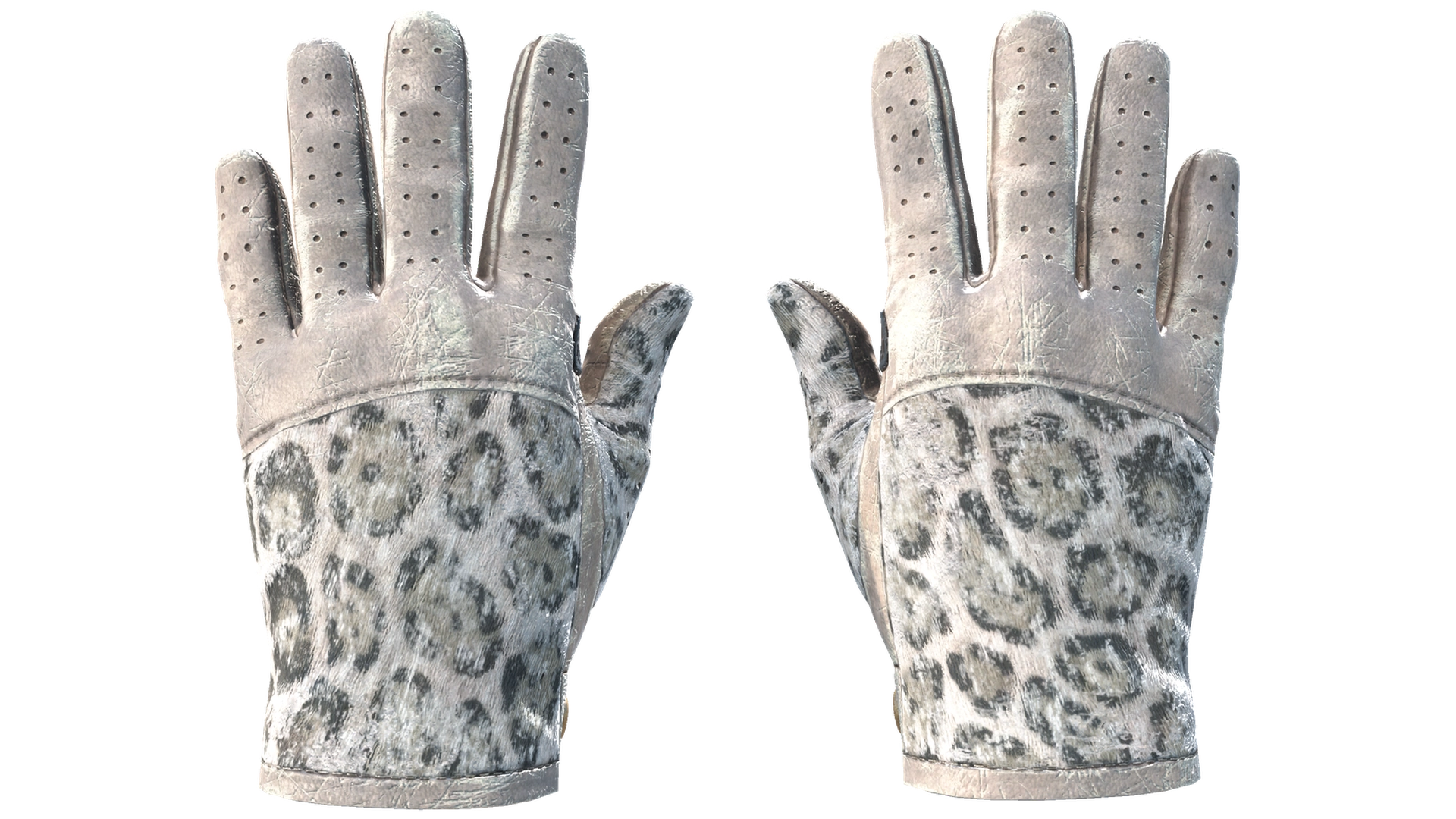 Snow Leopard image