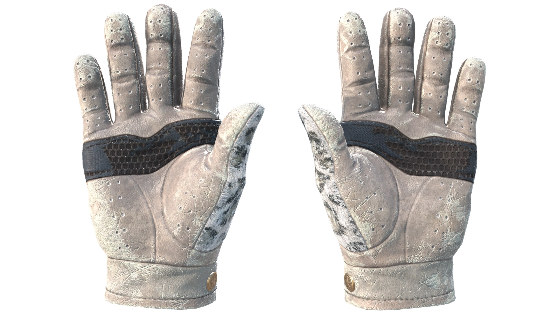 Snow Leopard image