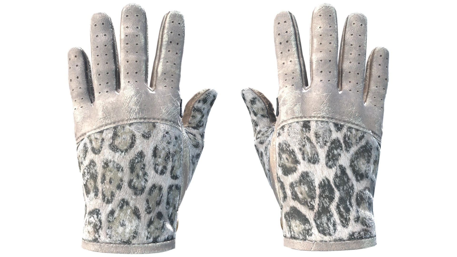Snow Leopard image