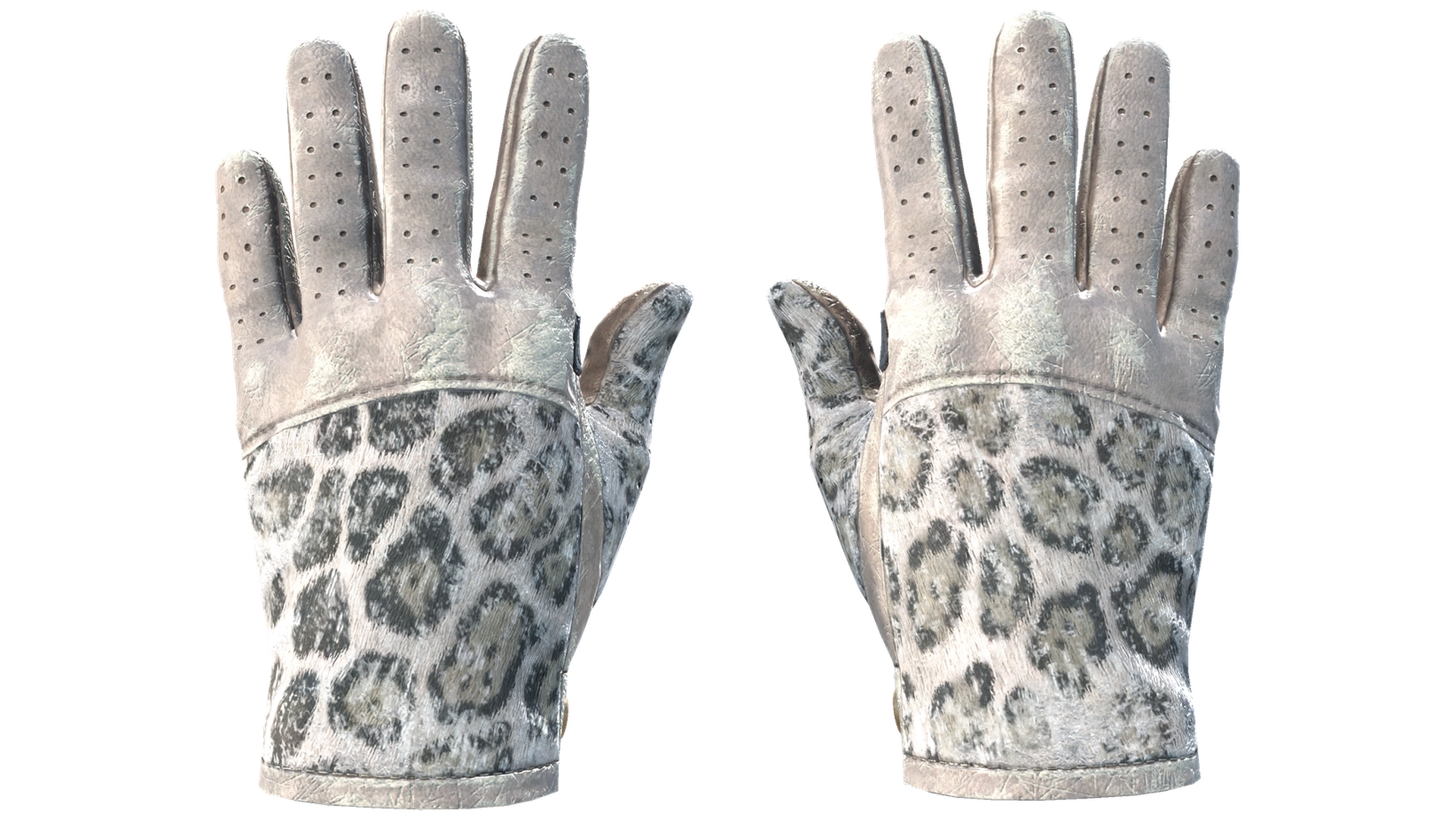 Snow Leopard image
