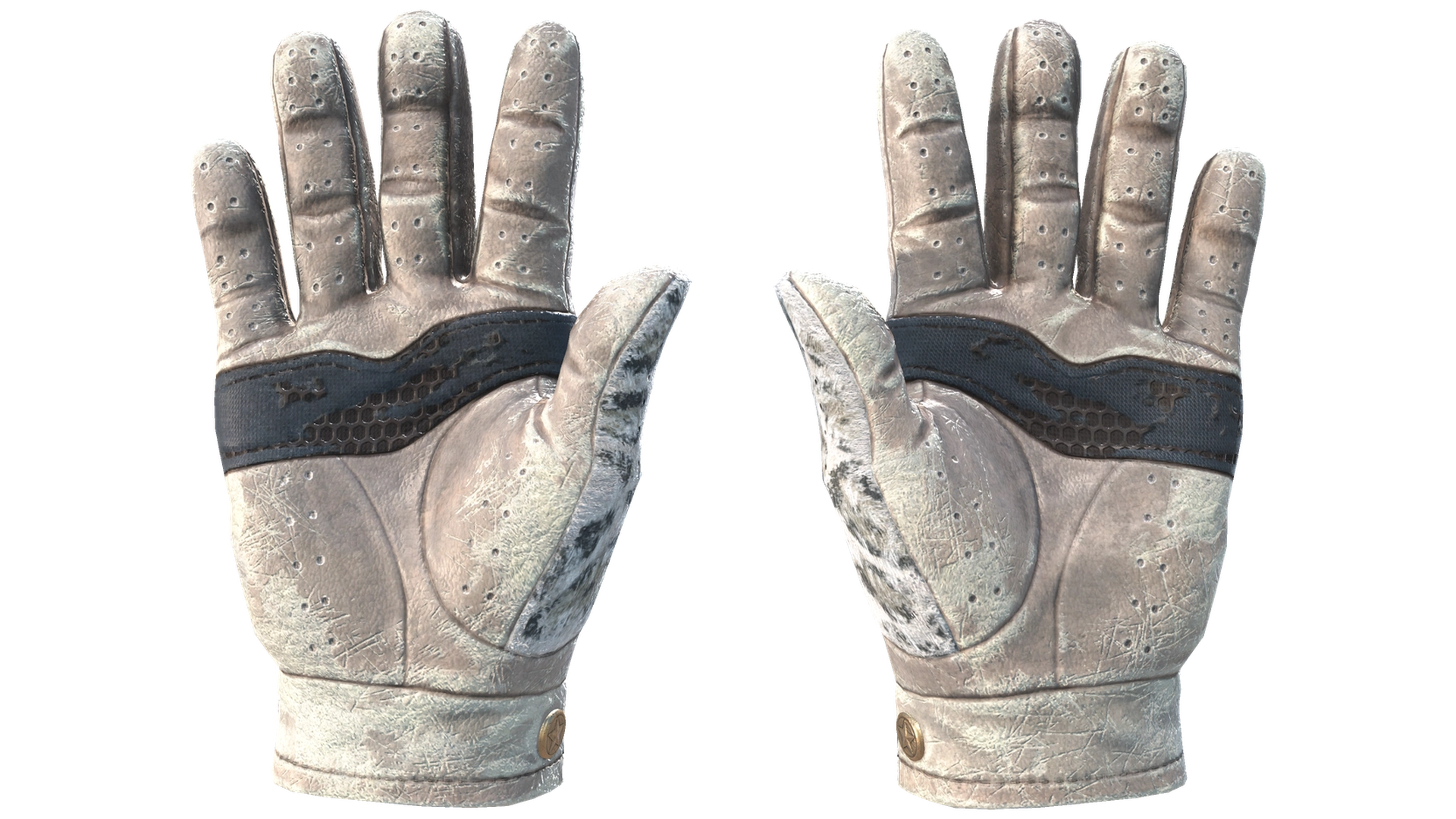 Snow Leopard image
