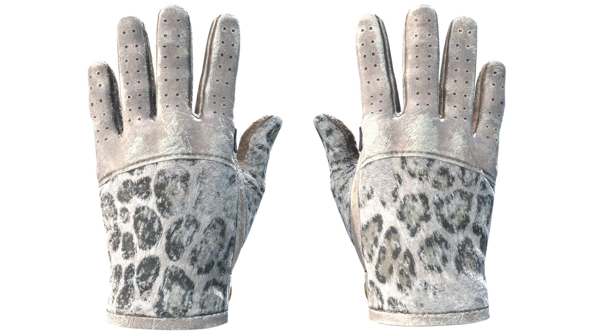 Snow Leopard image